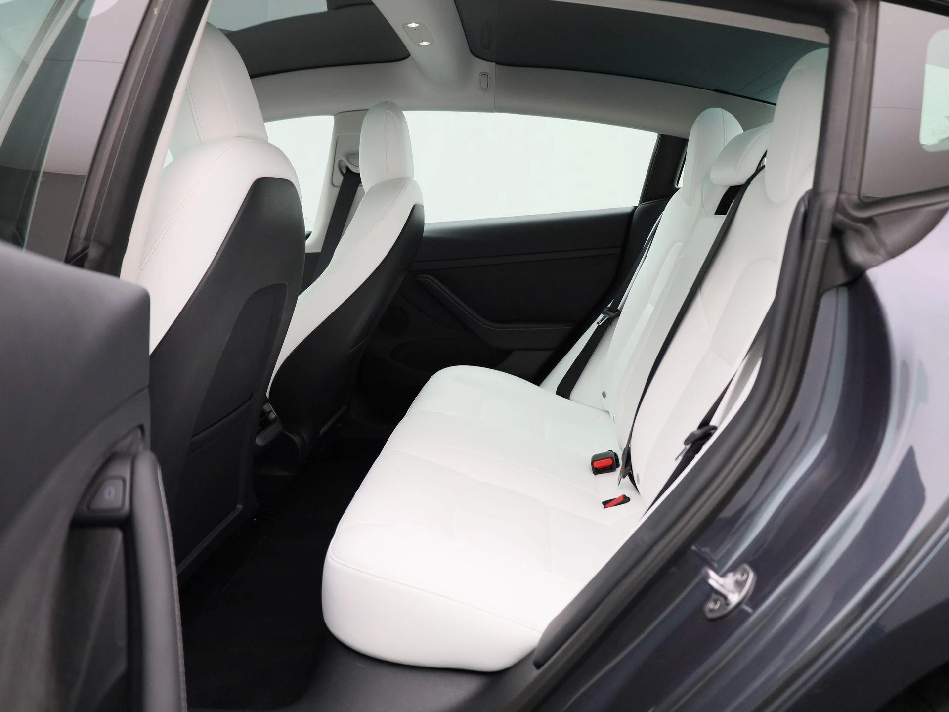 Tesla-Model 3-image-9