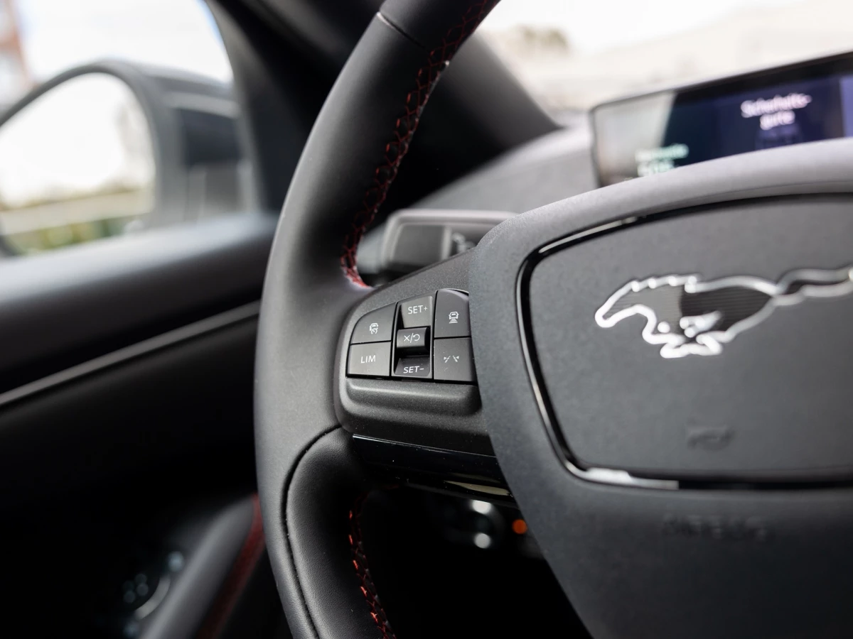 Ford-Mustang Mach-E-image-15