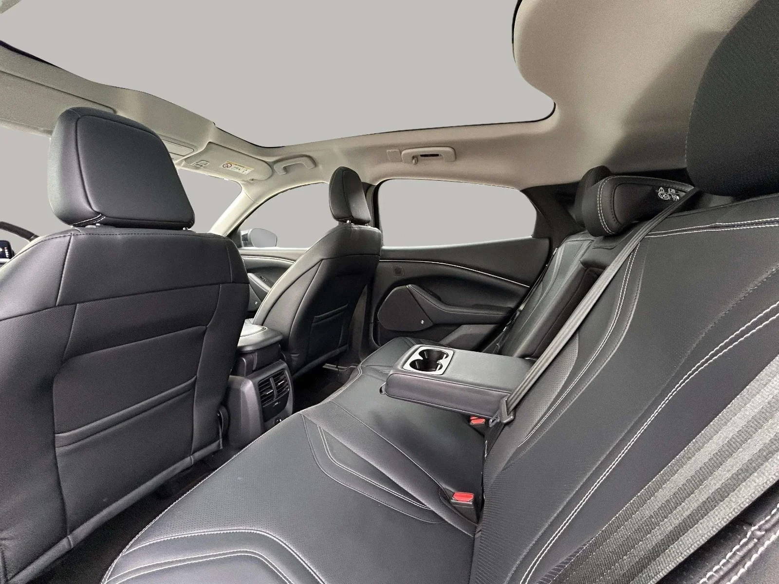 Ford-Mustang Mach-E-image-14