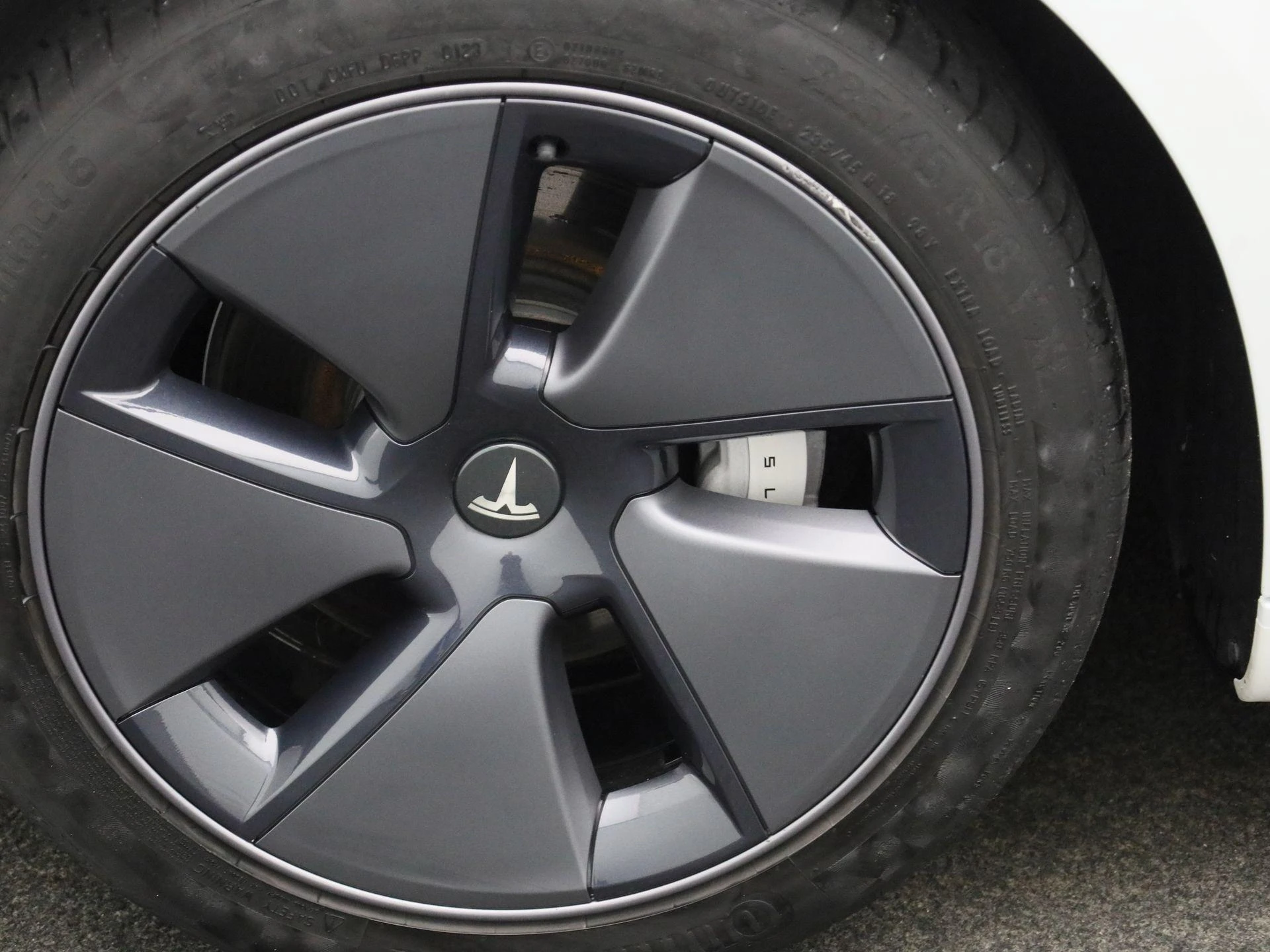 Tesla-Model 3-image-14