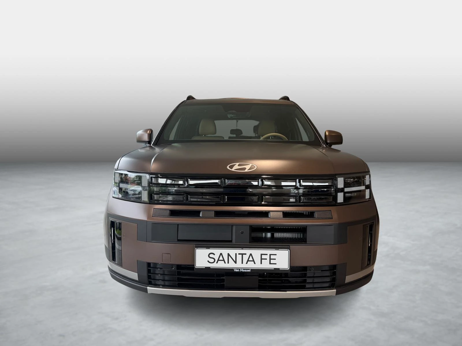 Hyundai-Santa Fe-image-1