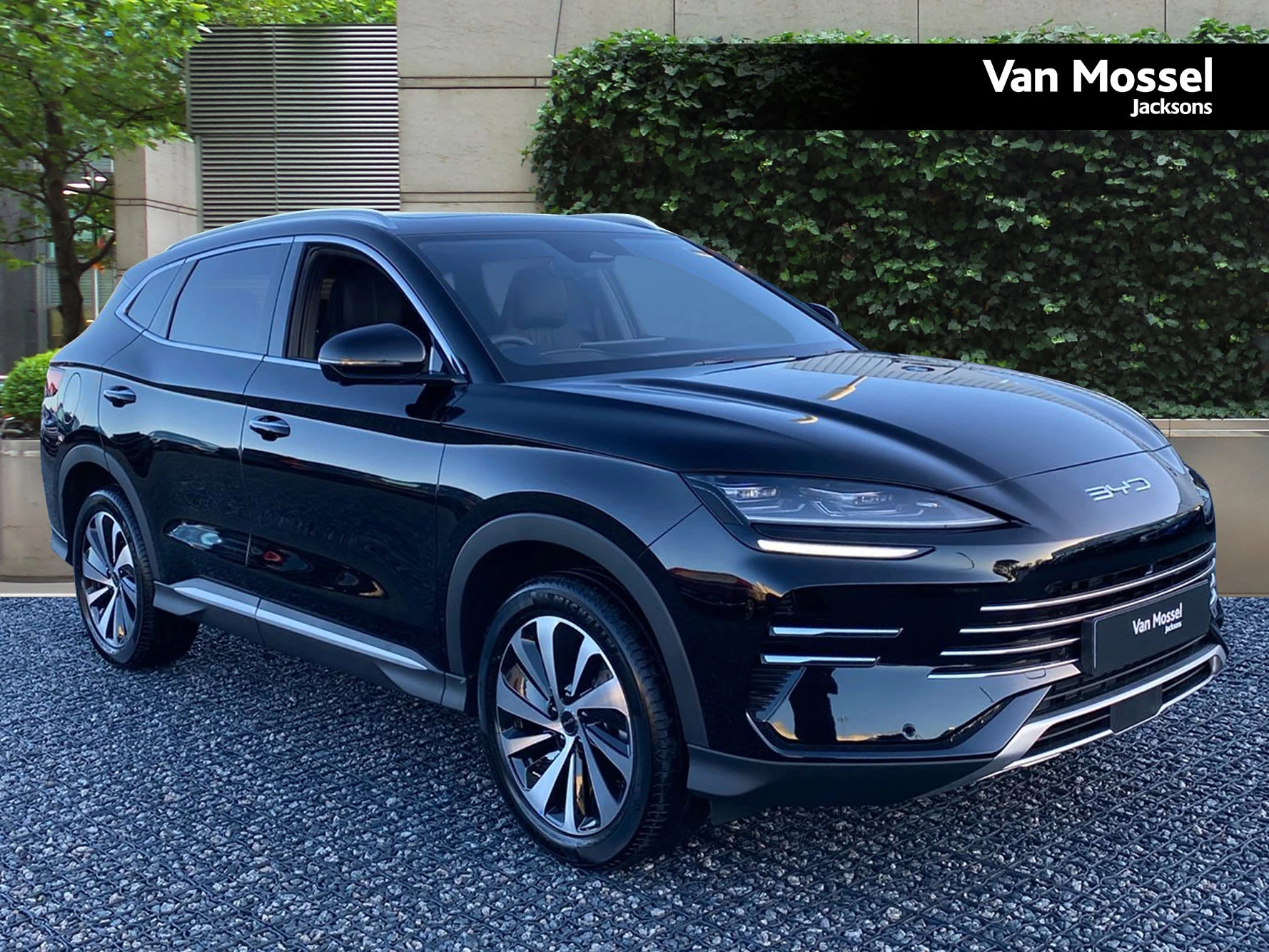 BYD SEALION Used Car