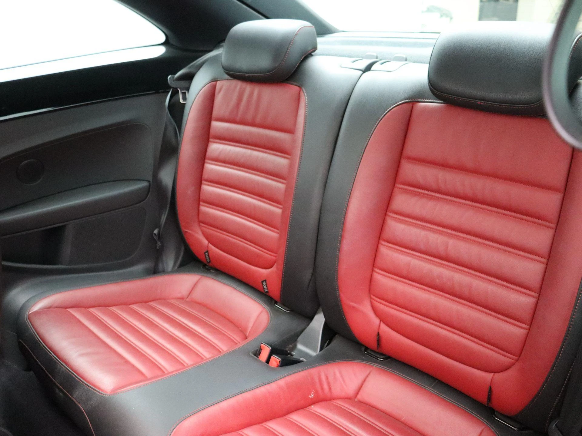 Volkswagen-Beetle-image-20