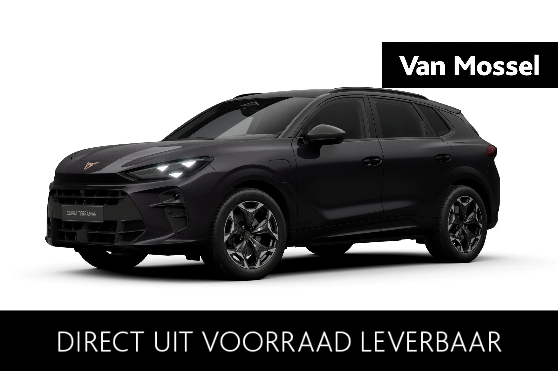 CUPRA-Terramar-image-0
