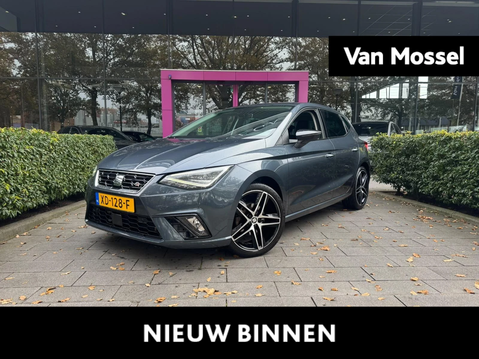 SEAT-Ibiza-image-0