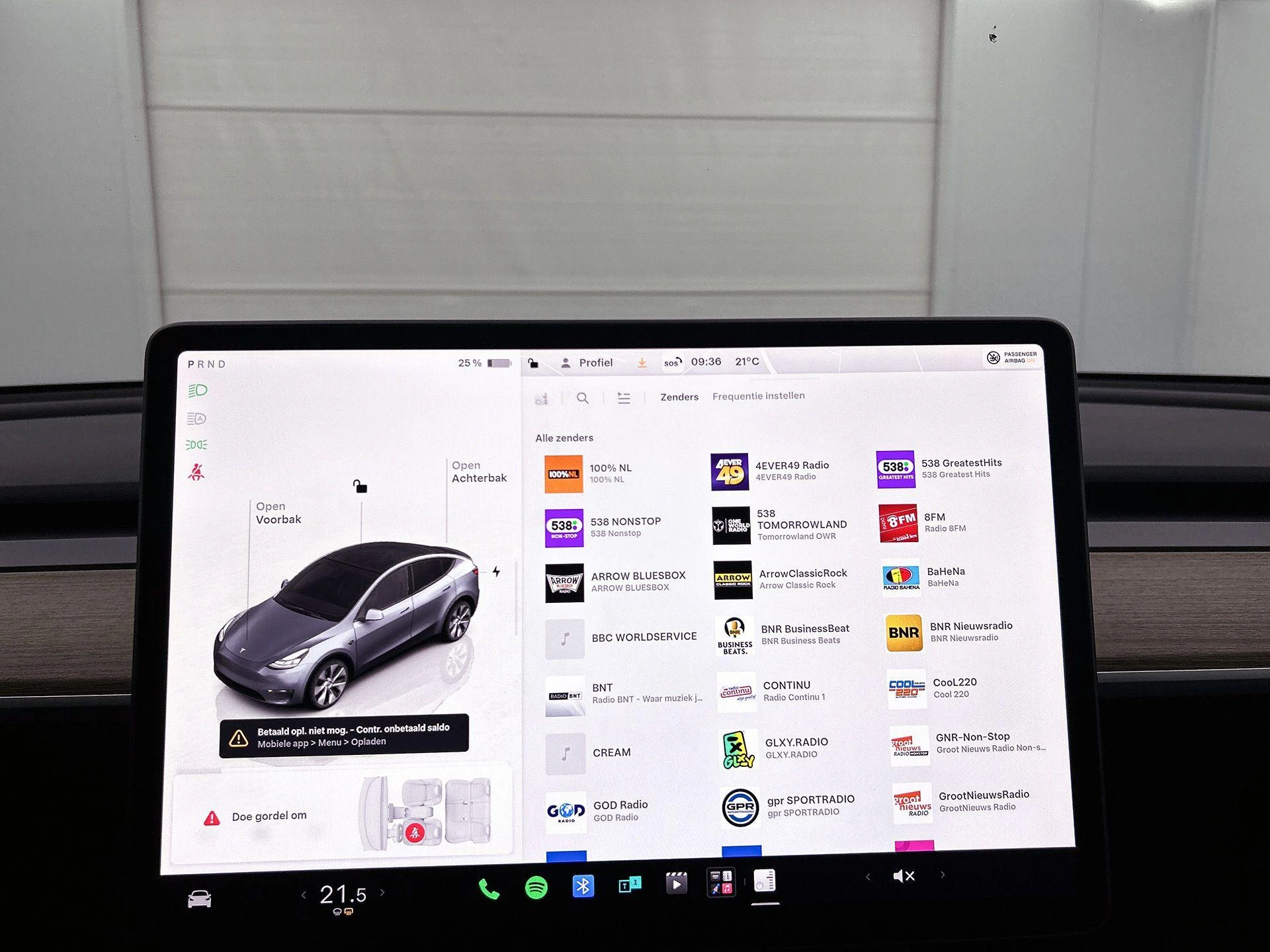 Tesla-Model Y-image-6