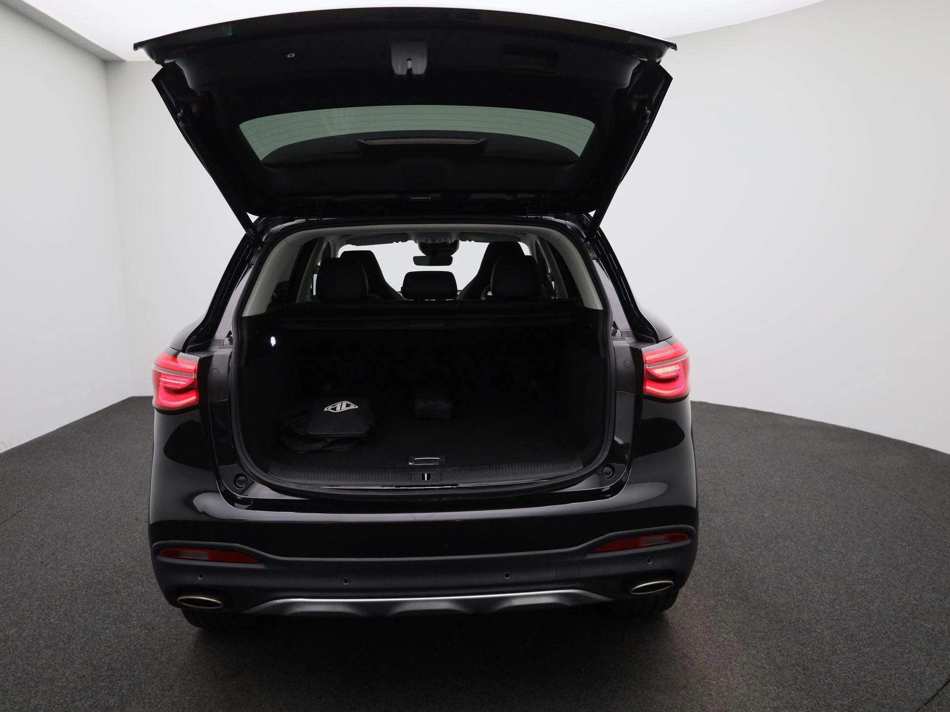 MG-EHS-image-10