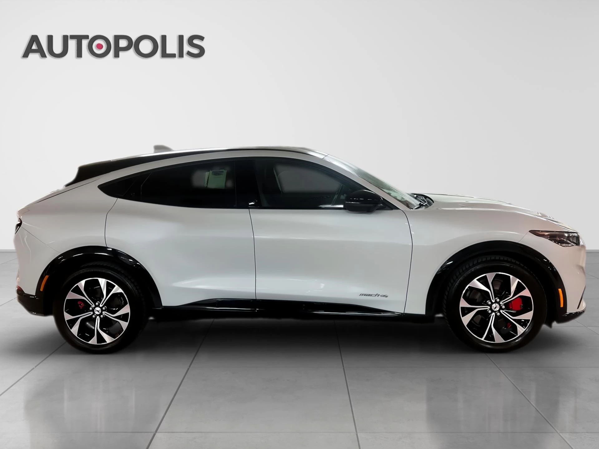 Ford-Mustang Mach-E-image-15