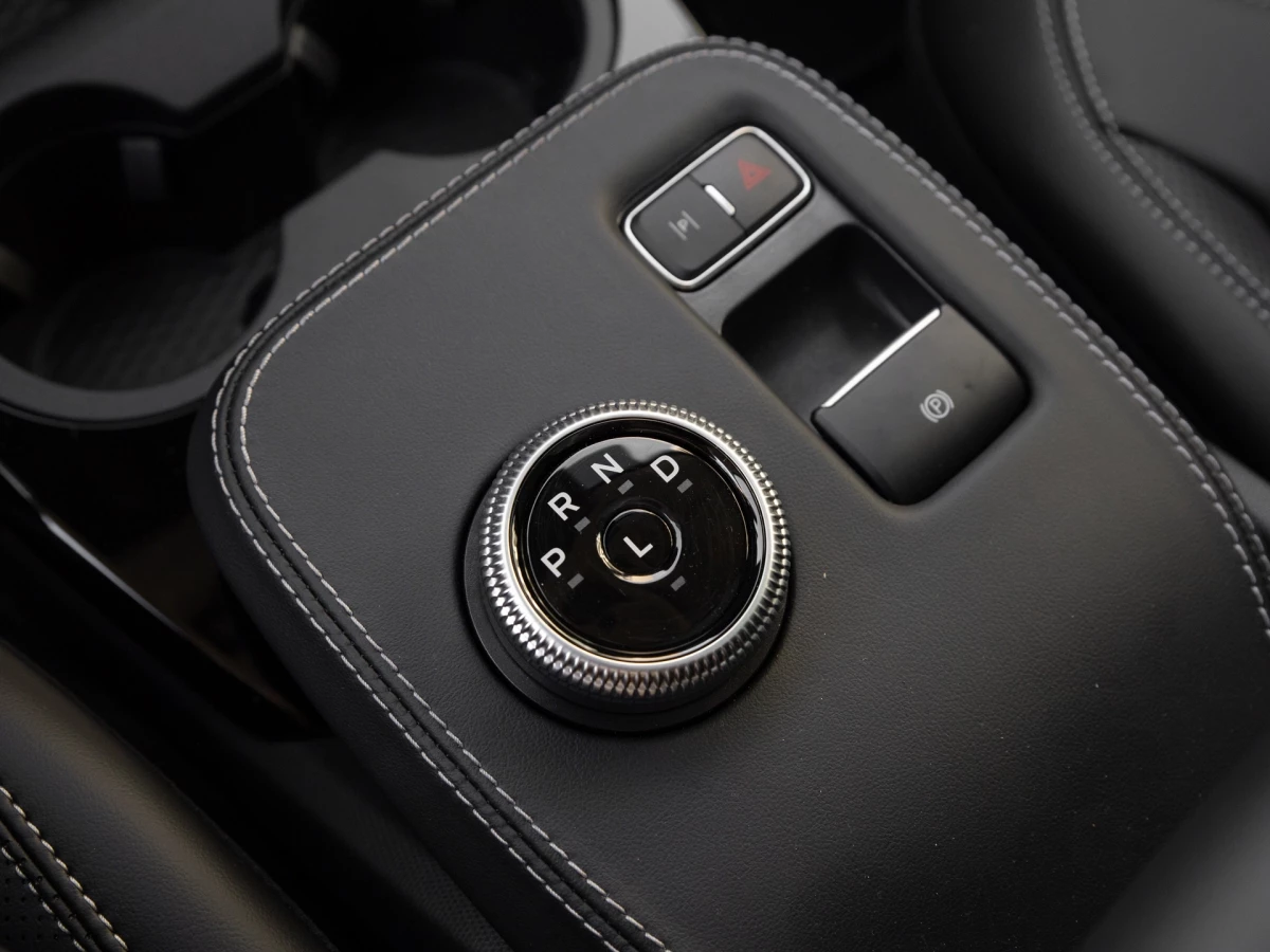 Ford-Mustang Mach-E-image-15