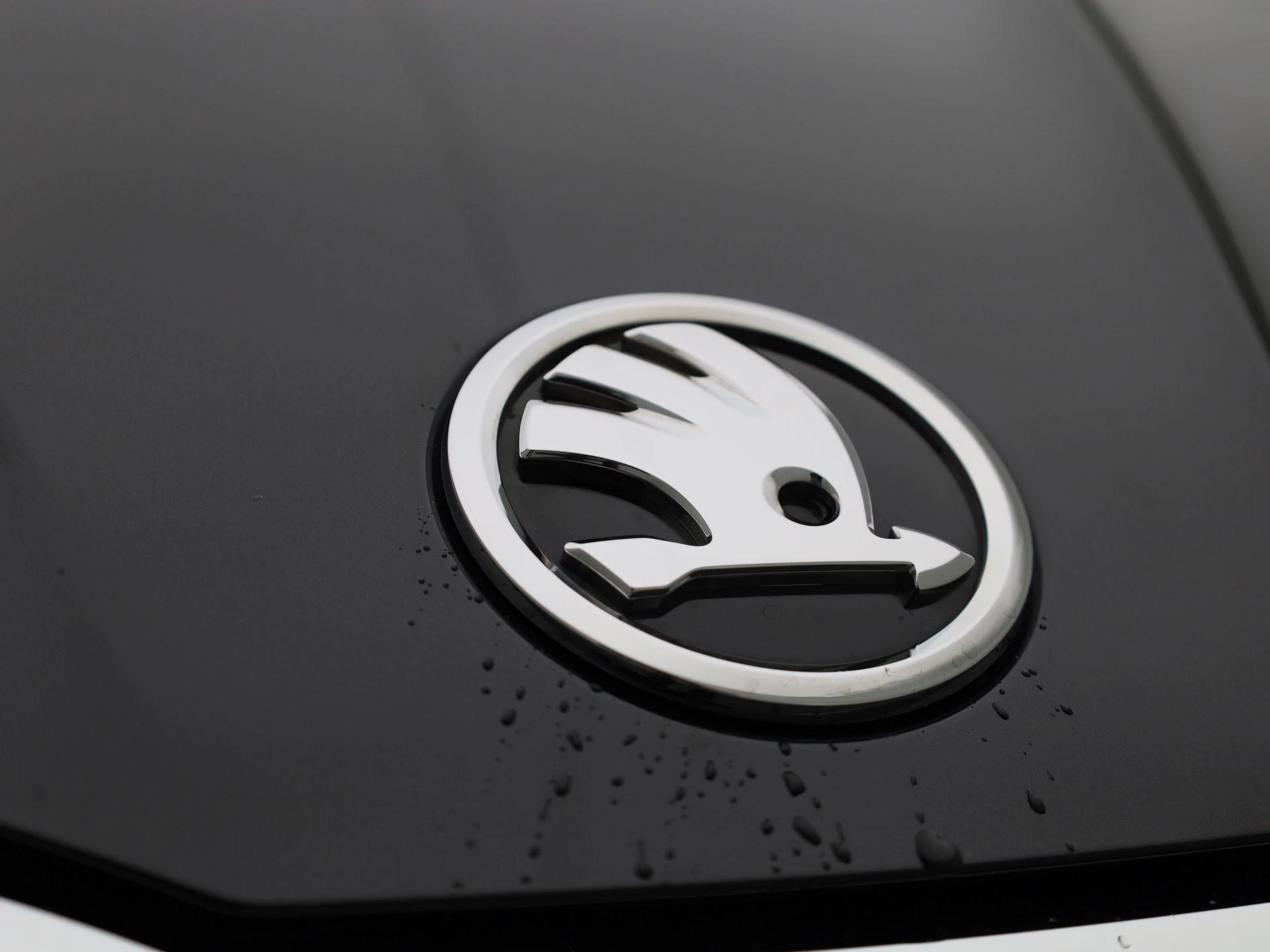 Škoda Fabia 1.0 TSI Selection