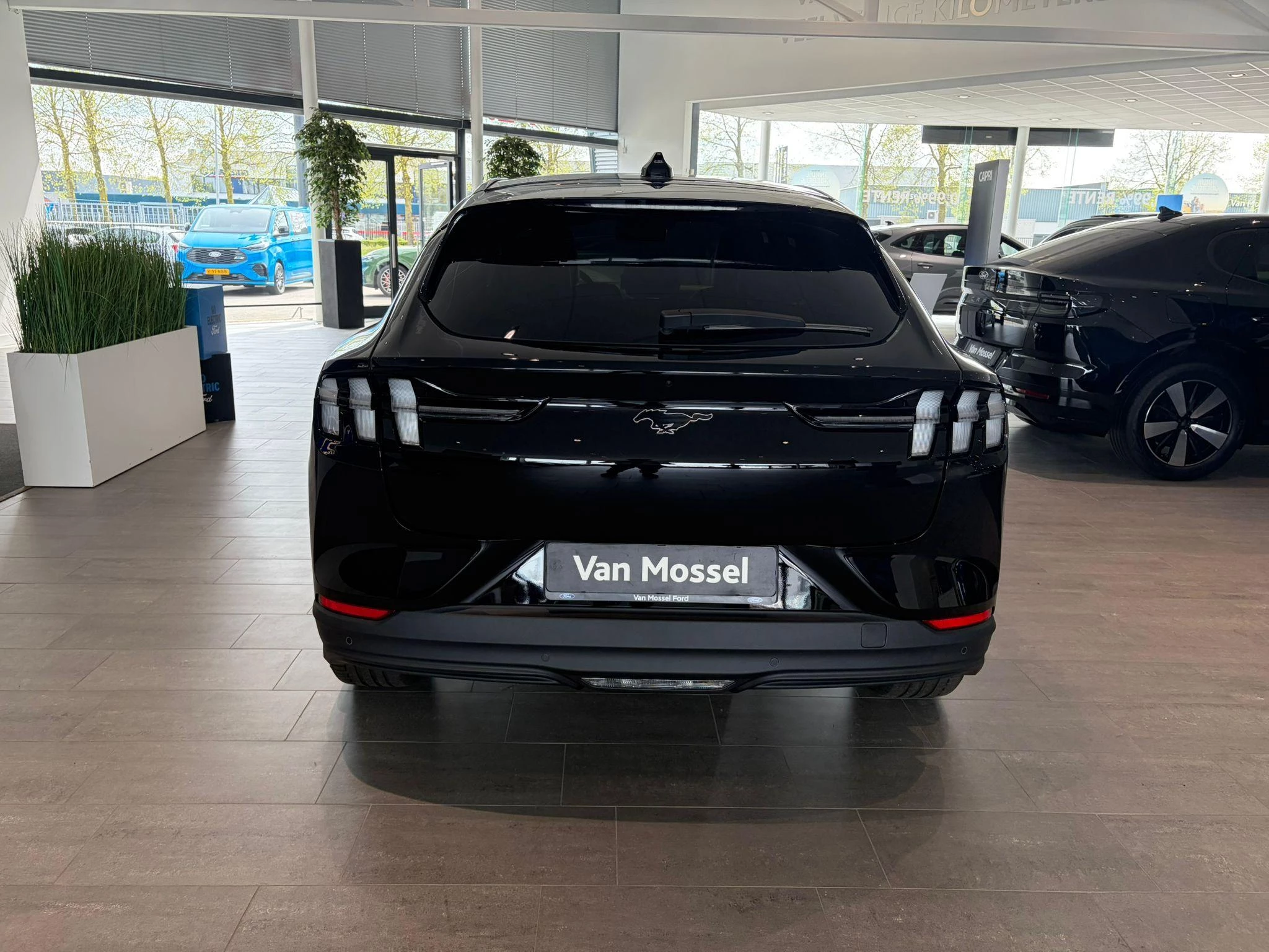 Ford-Mustang Mach-E-image-4