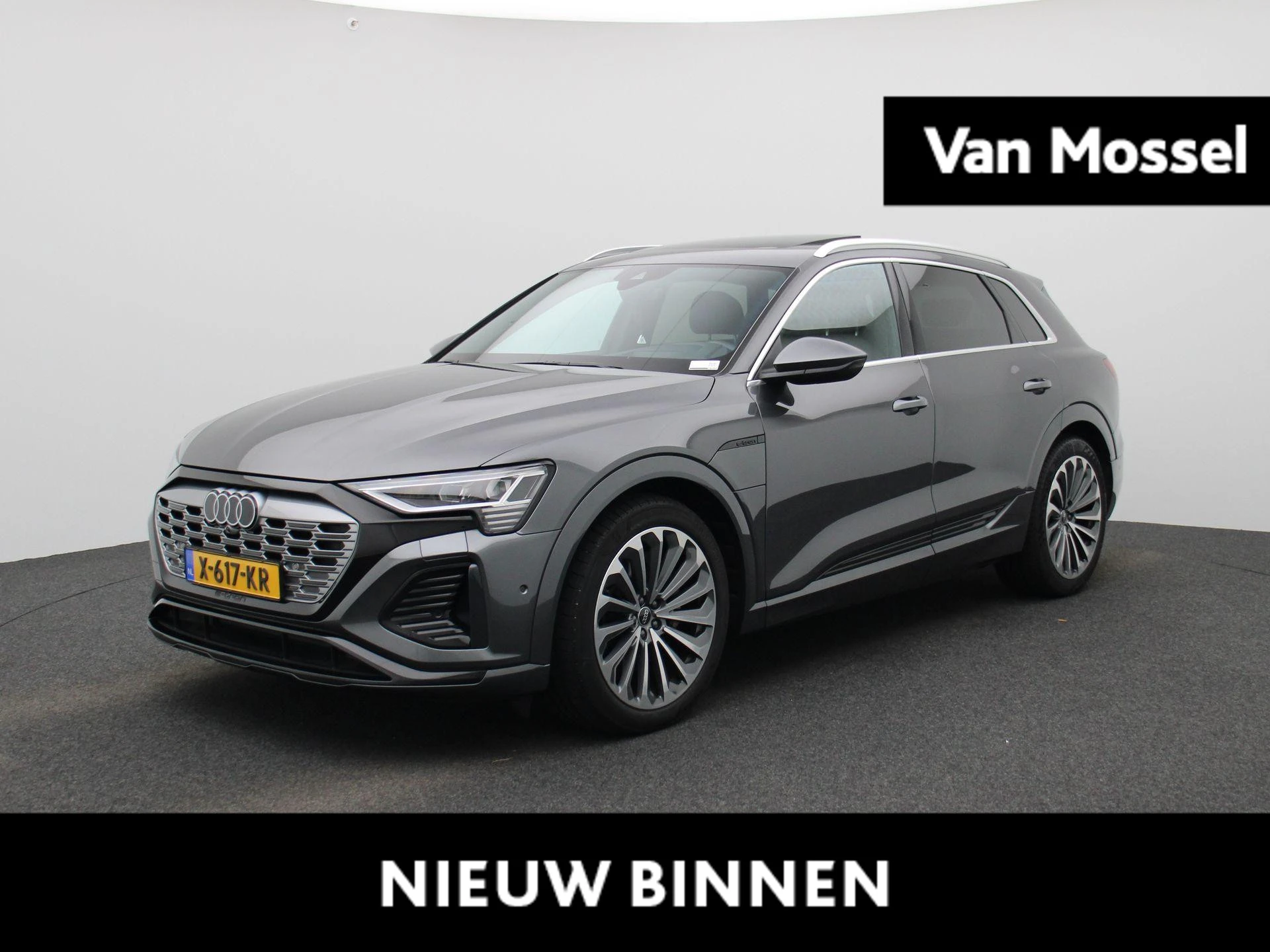 Audi-Q8 e-tron-image-0