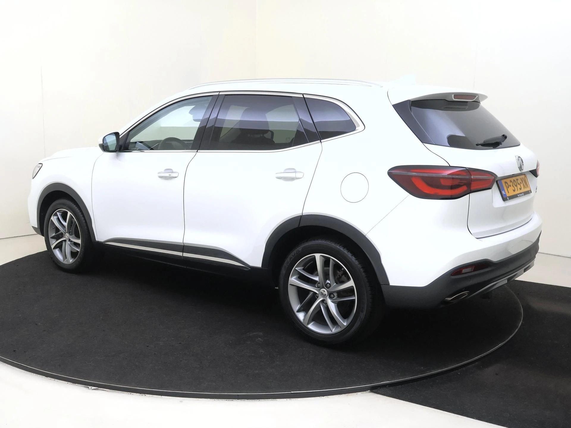 MG-EHS-image-2