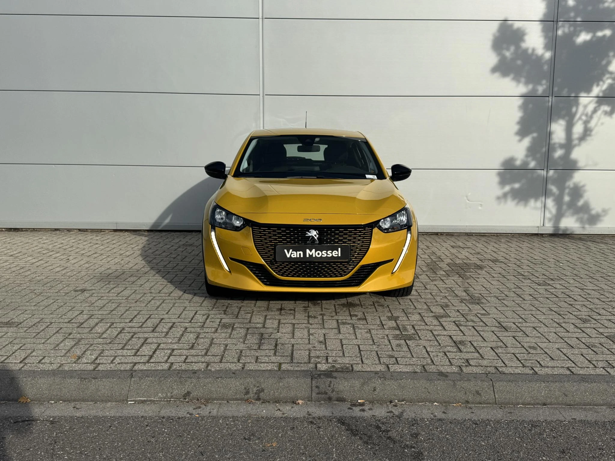 Peugeot e-208
