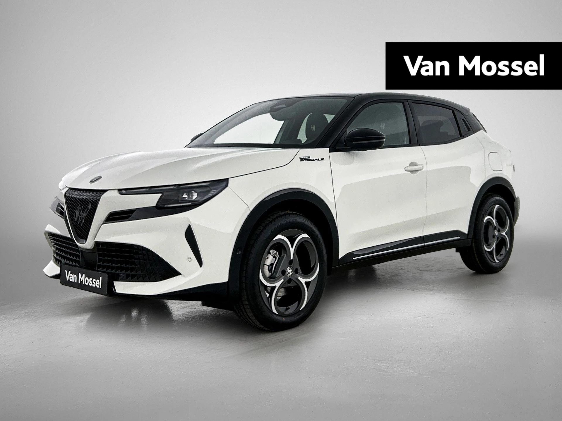 Alfa Romeo-Junior-image-0