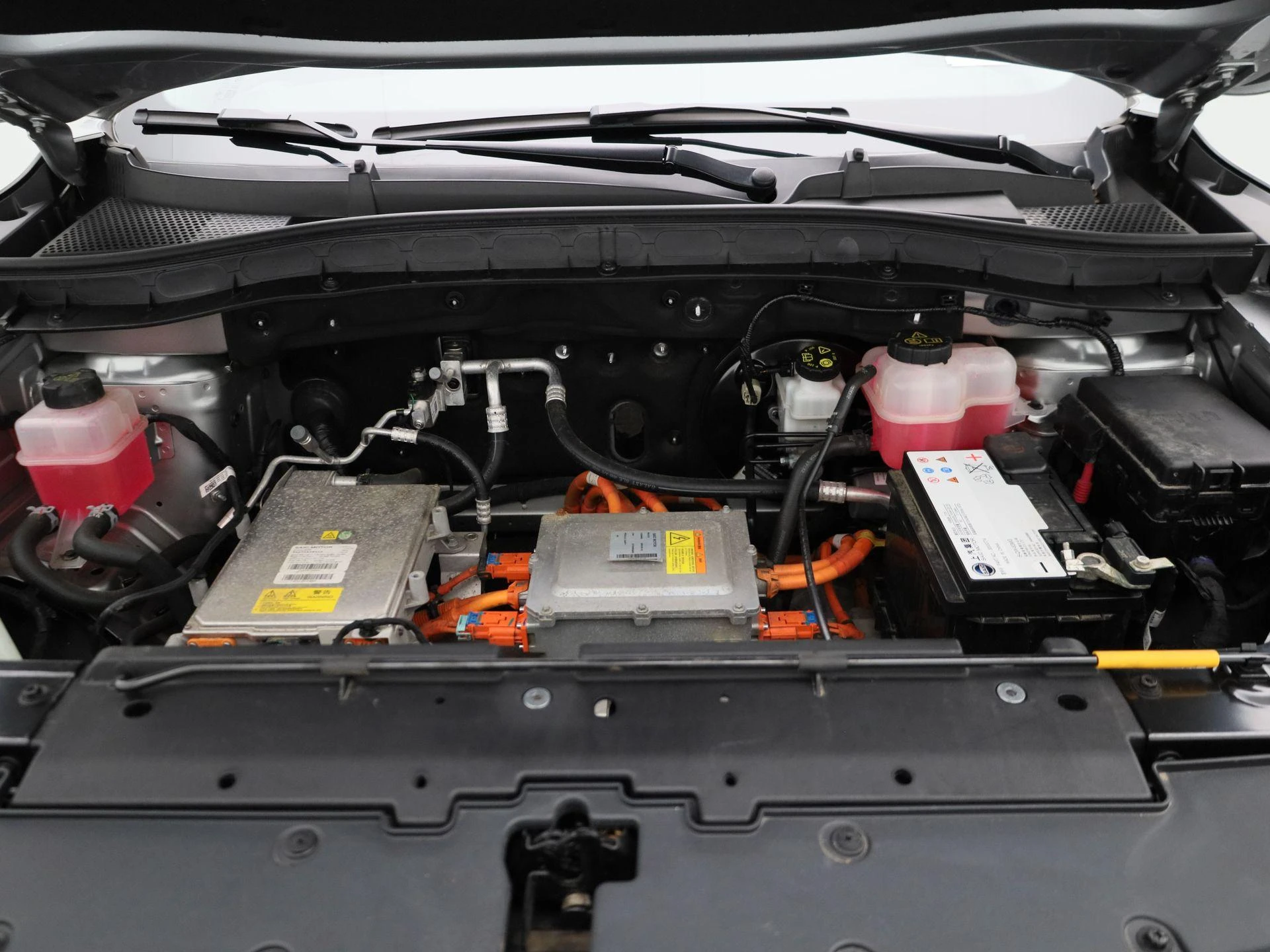 MG-ZS EV-image-32