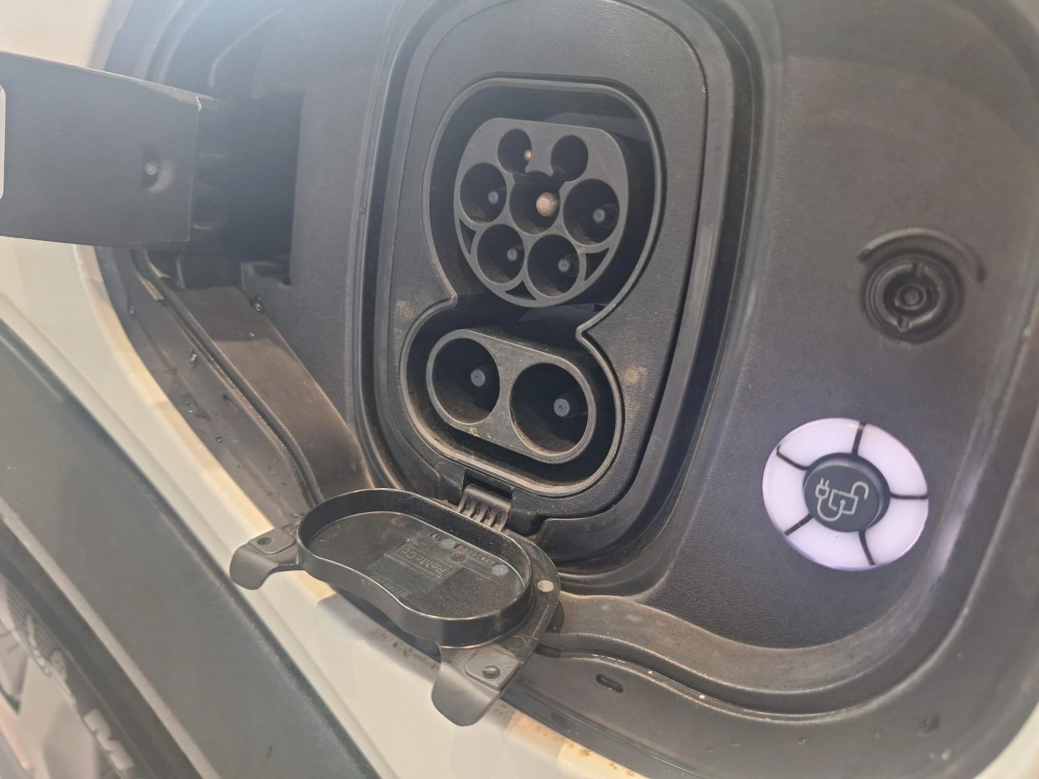 Ford-Mustang Mach-E-image-8