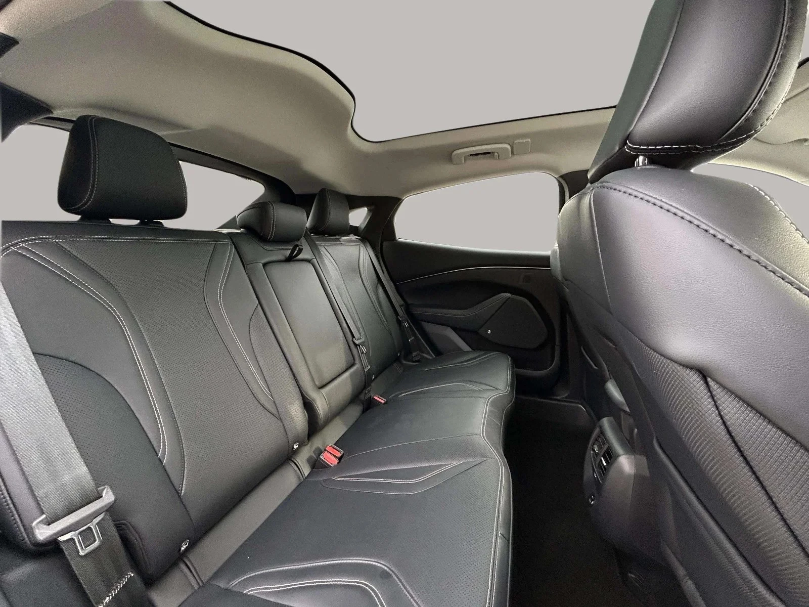 Ford-Mustang Mach-E-image-15