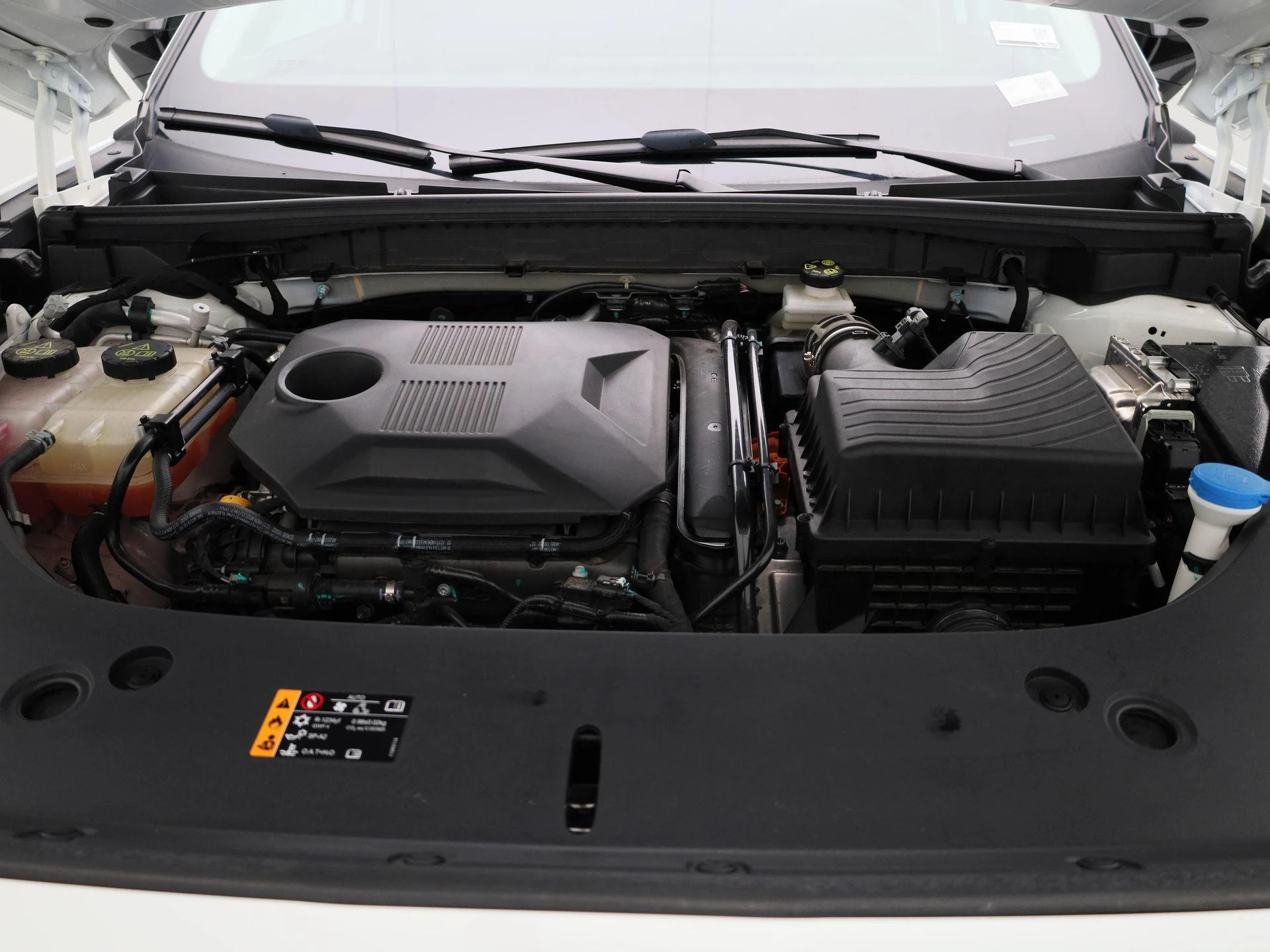MG-HS-image-34