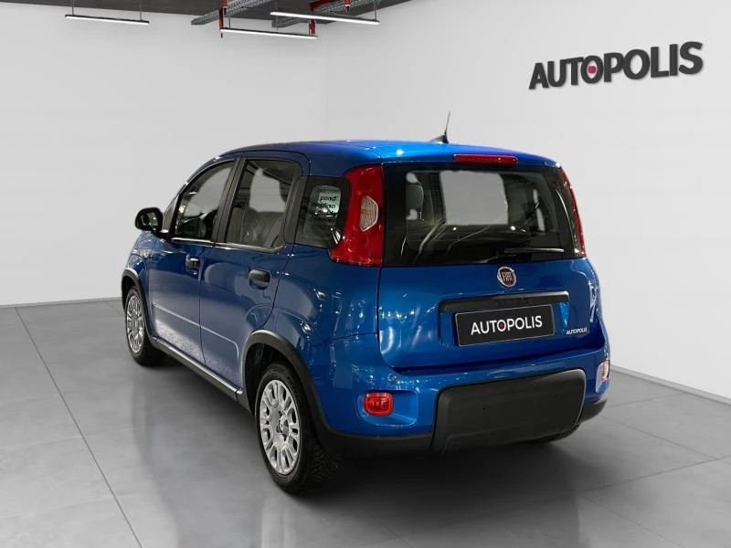 Fiat-Panda-image-18