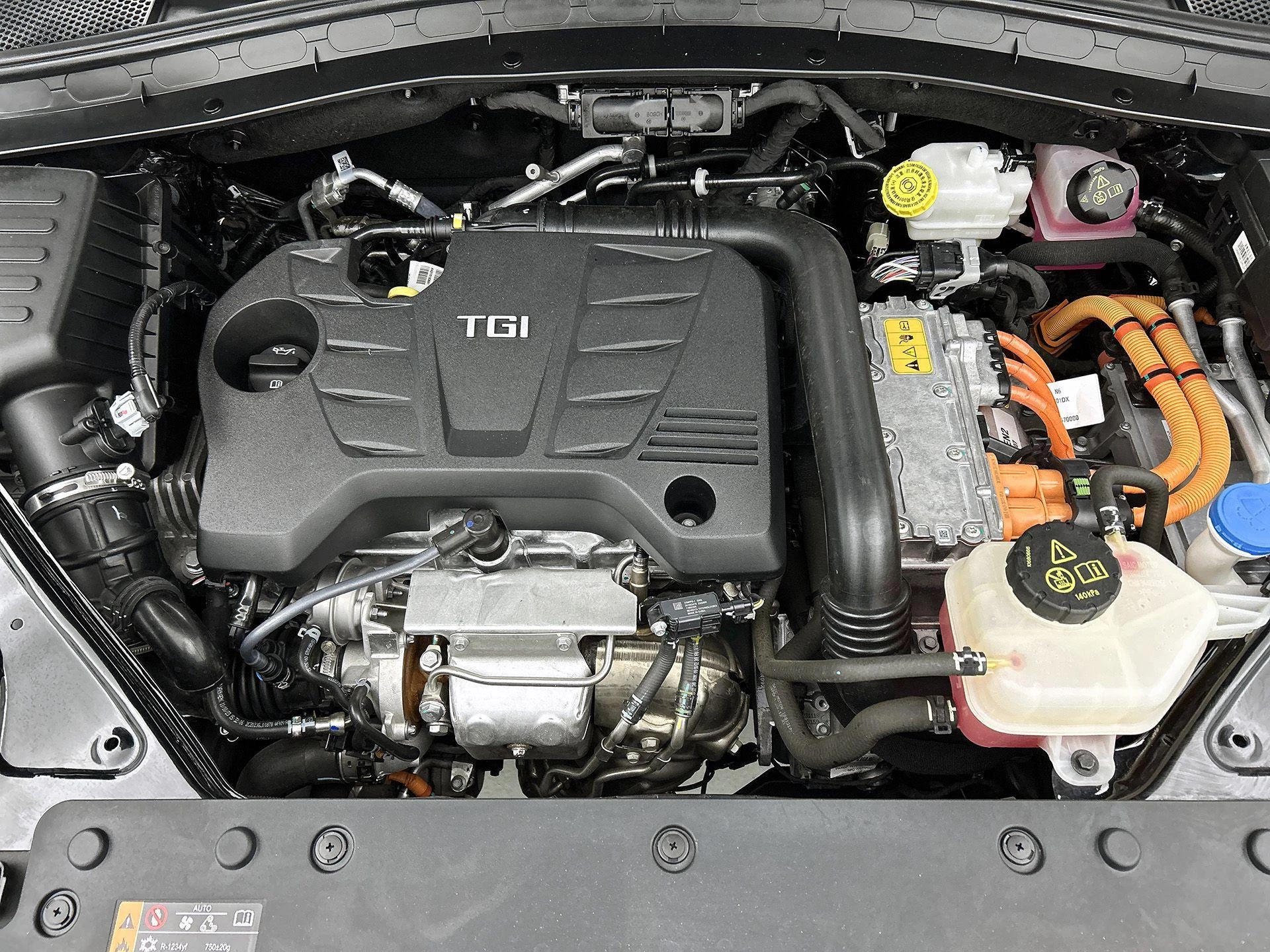 MG-EHS-image-30