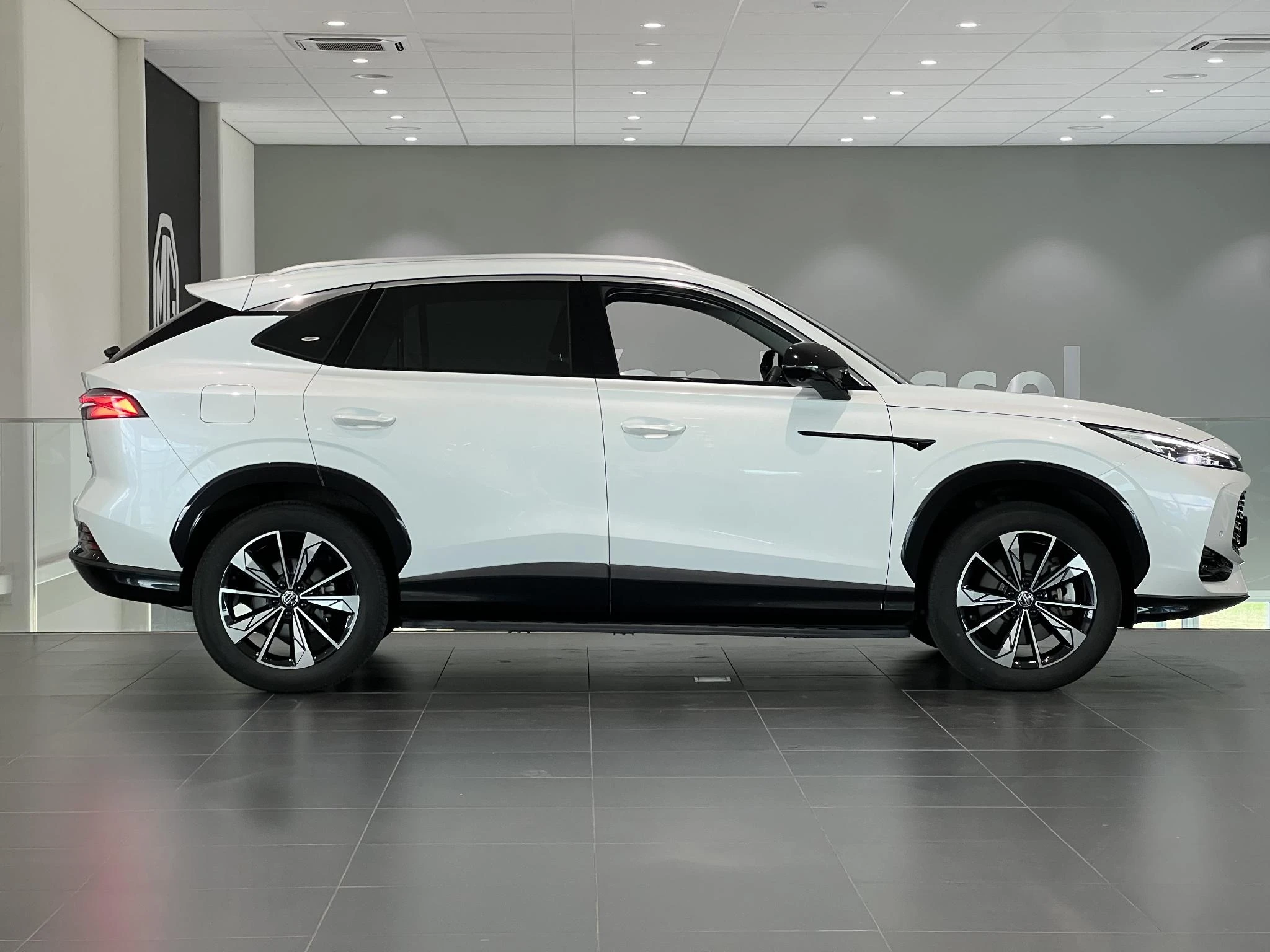 MG-HS-image-9