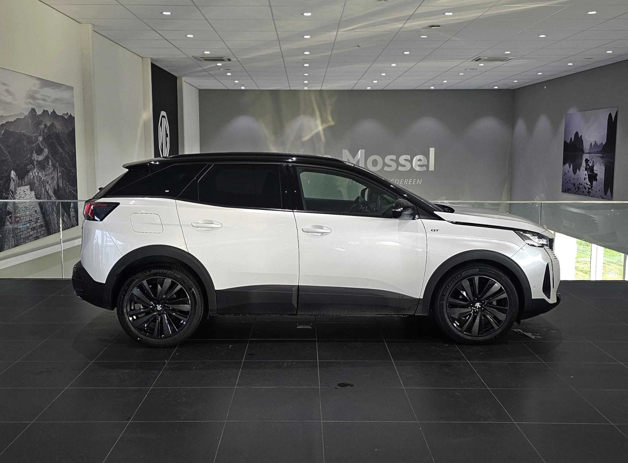 Peugeot-3008-image-3
