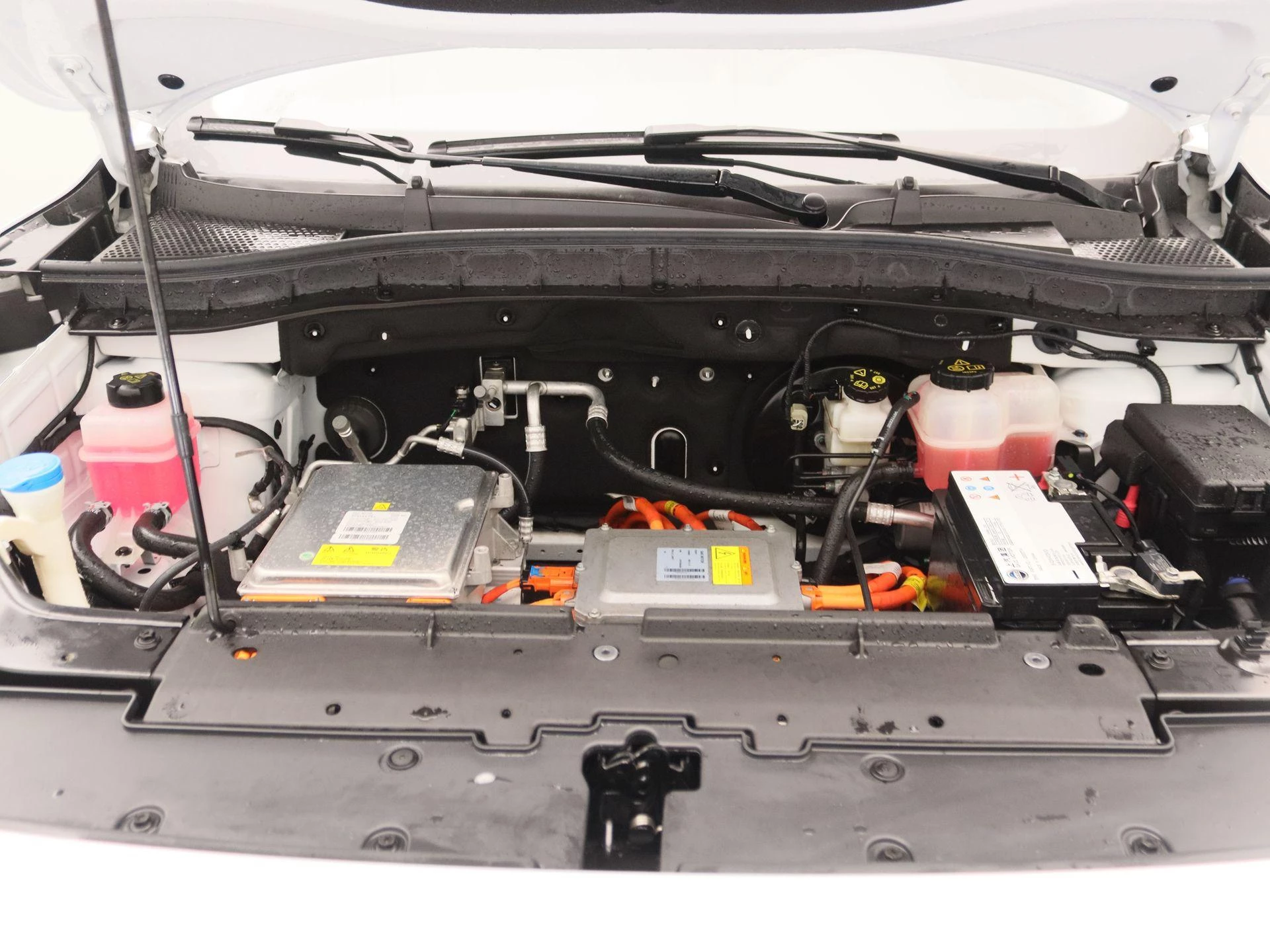 MG-ZS EV-image-26