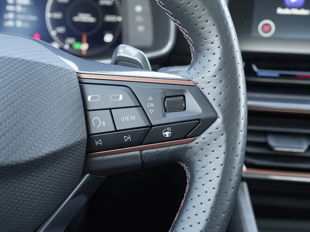 CUPRA Formentor e-Hybrid DSG /Navi/LED/Full-Link/DAB