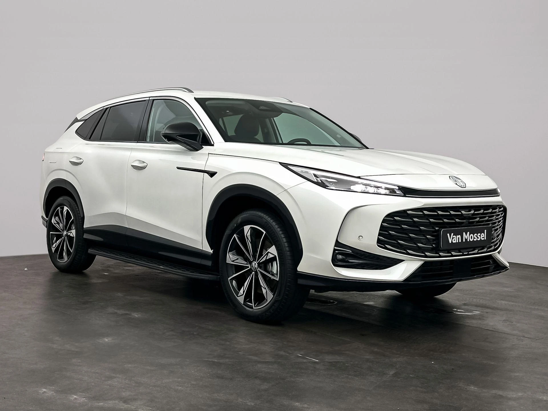 MG-HS-image-5