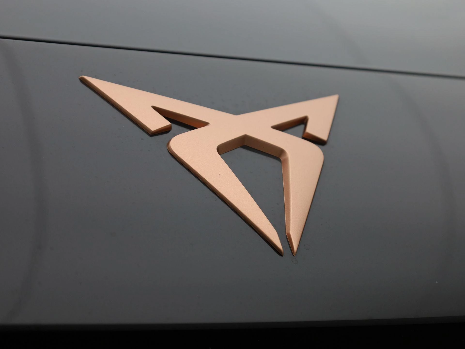 CUPRA Terramar 1.5 TSI e-Hybrid Business