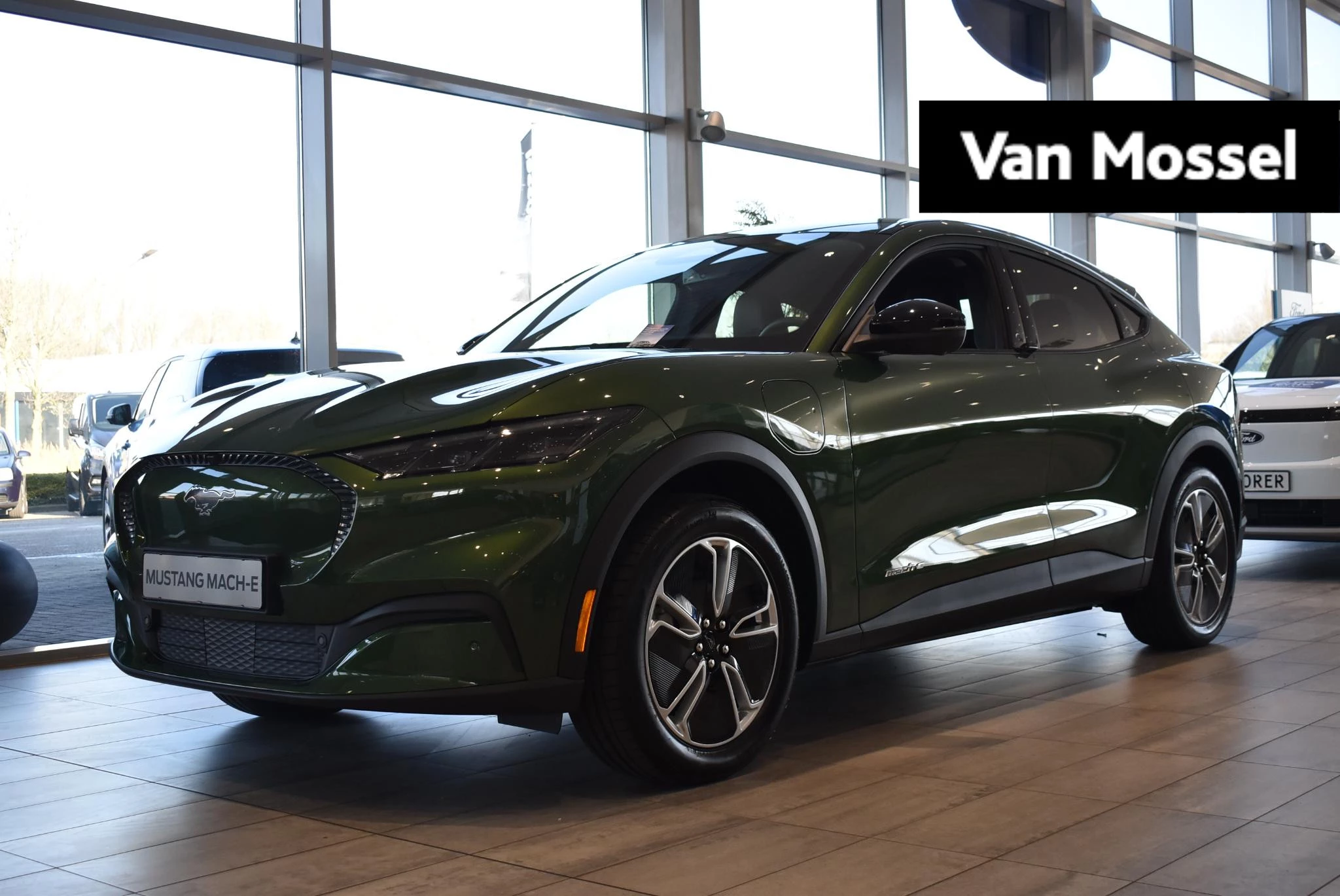 Ford-Mustang Mach-E-image-0