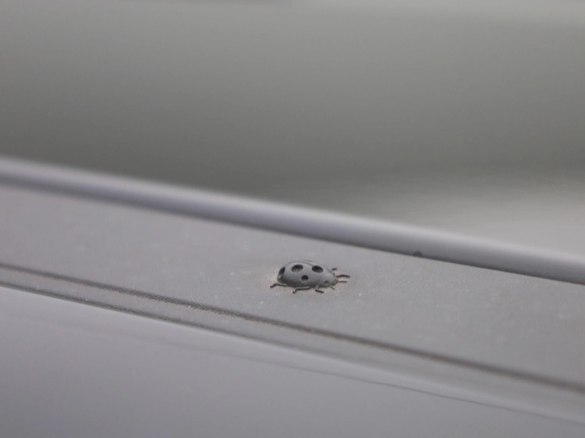 Jeep-Avenger-image-35