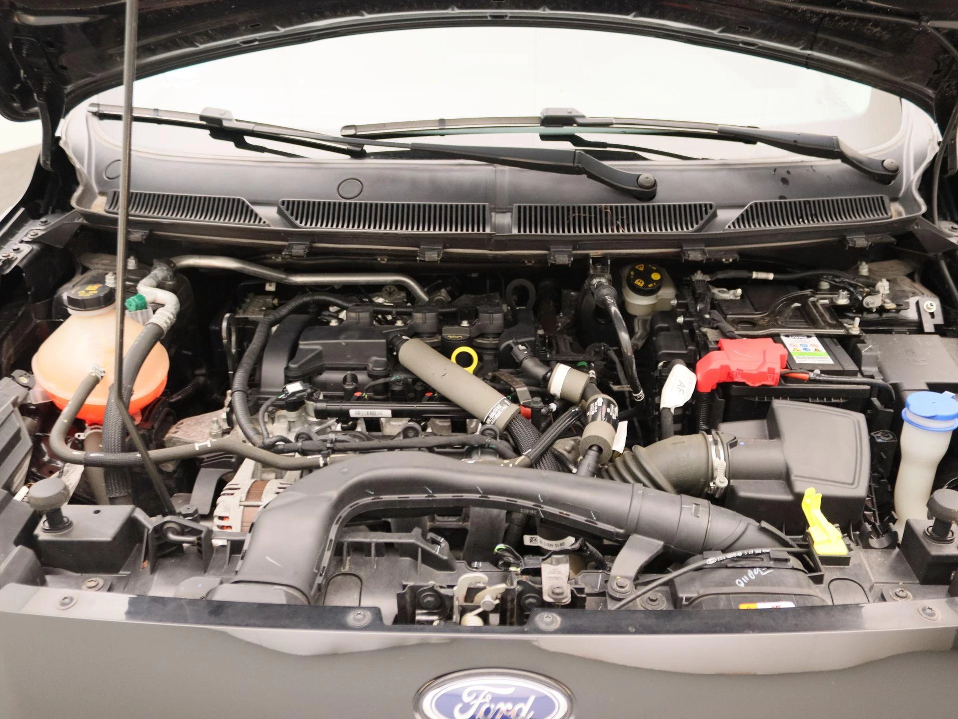 Ford-Ka-image-25
