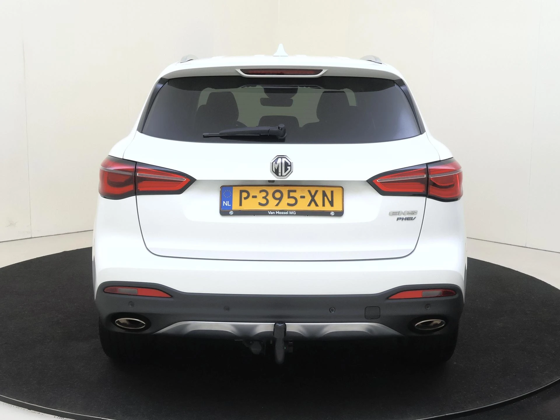 MG-EHS-image-6
