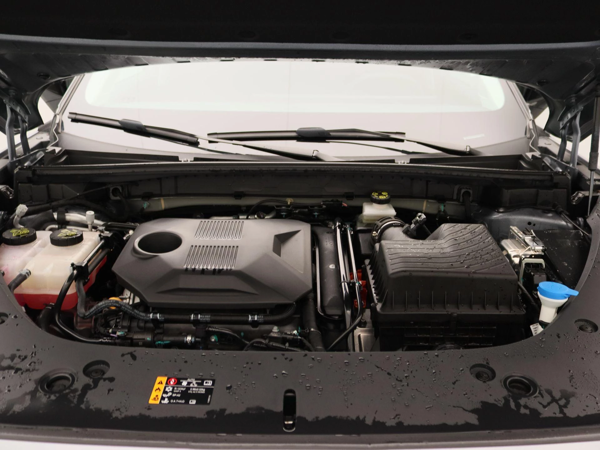 MG-HS-image-26