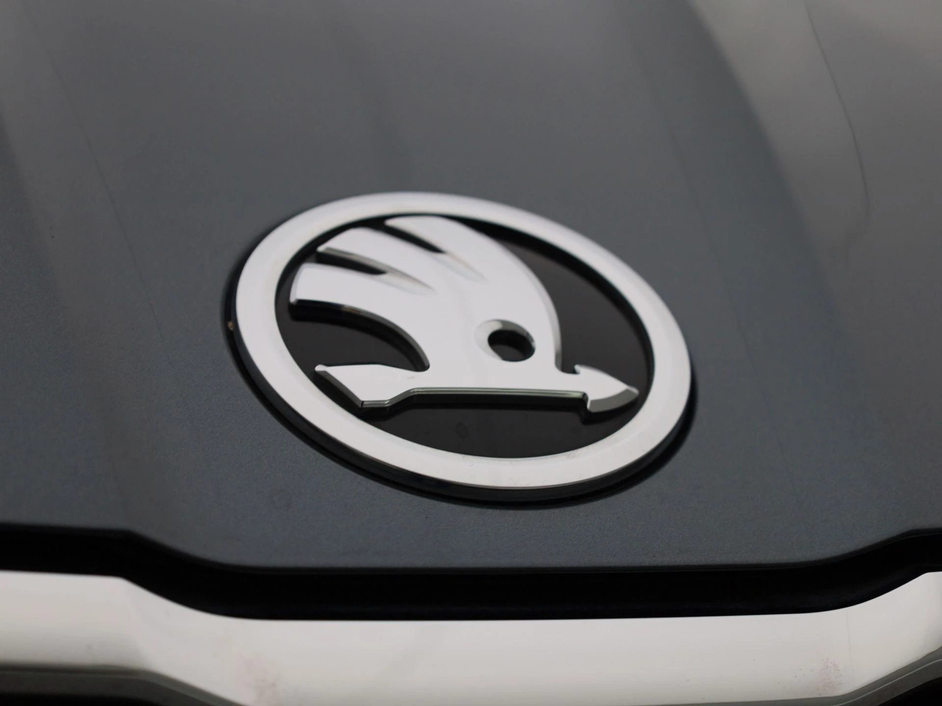 Škoda-Enyaq iV-image-36