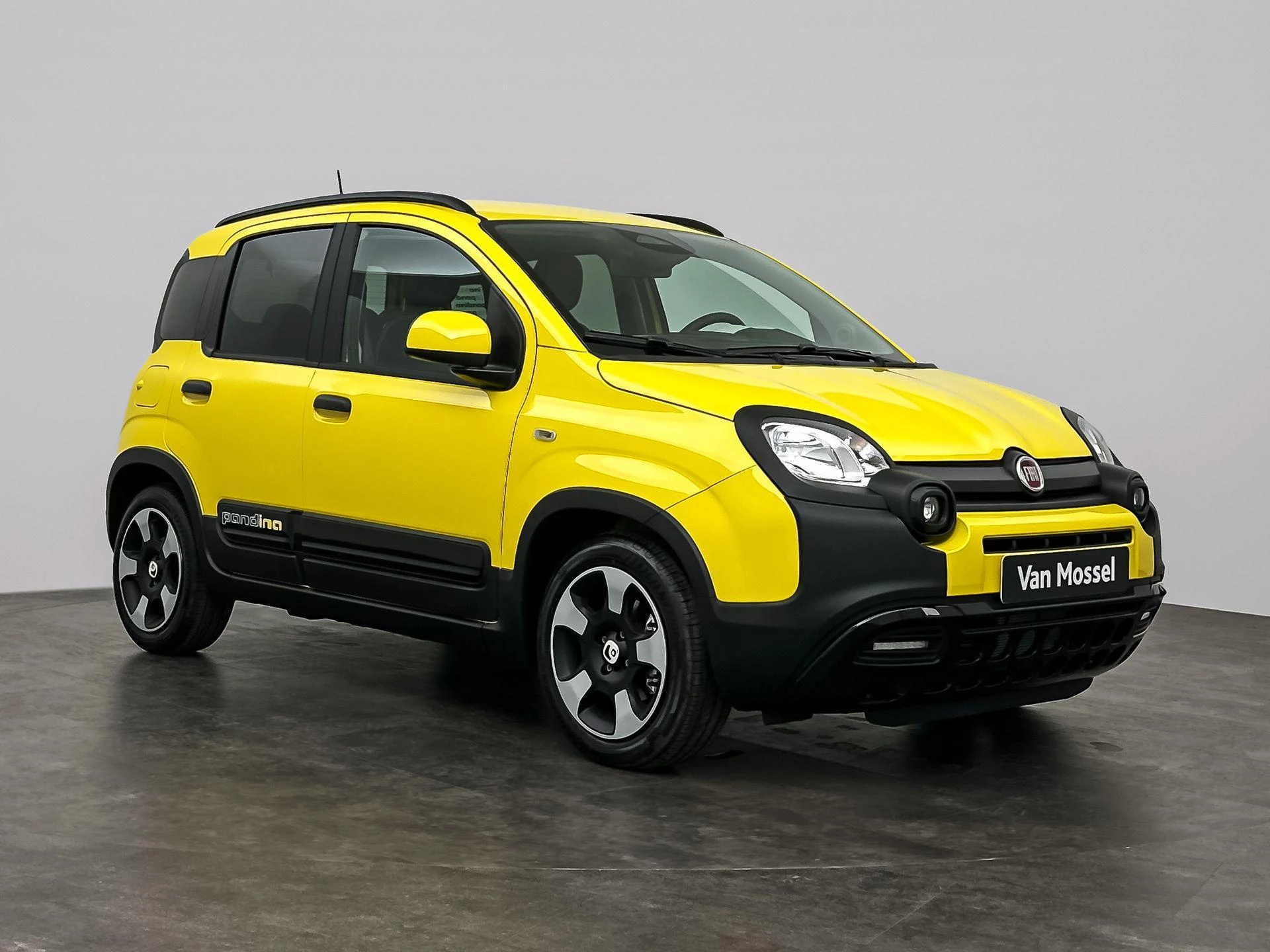 Fiat-Panda-image-1