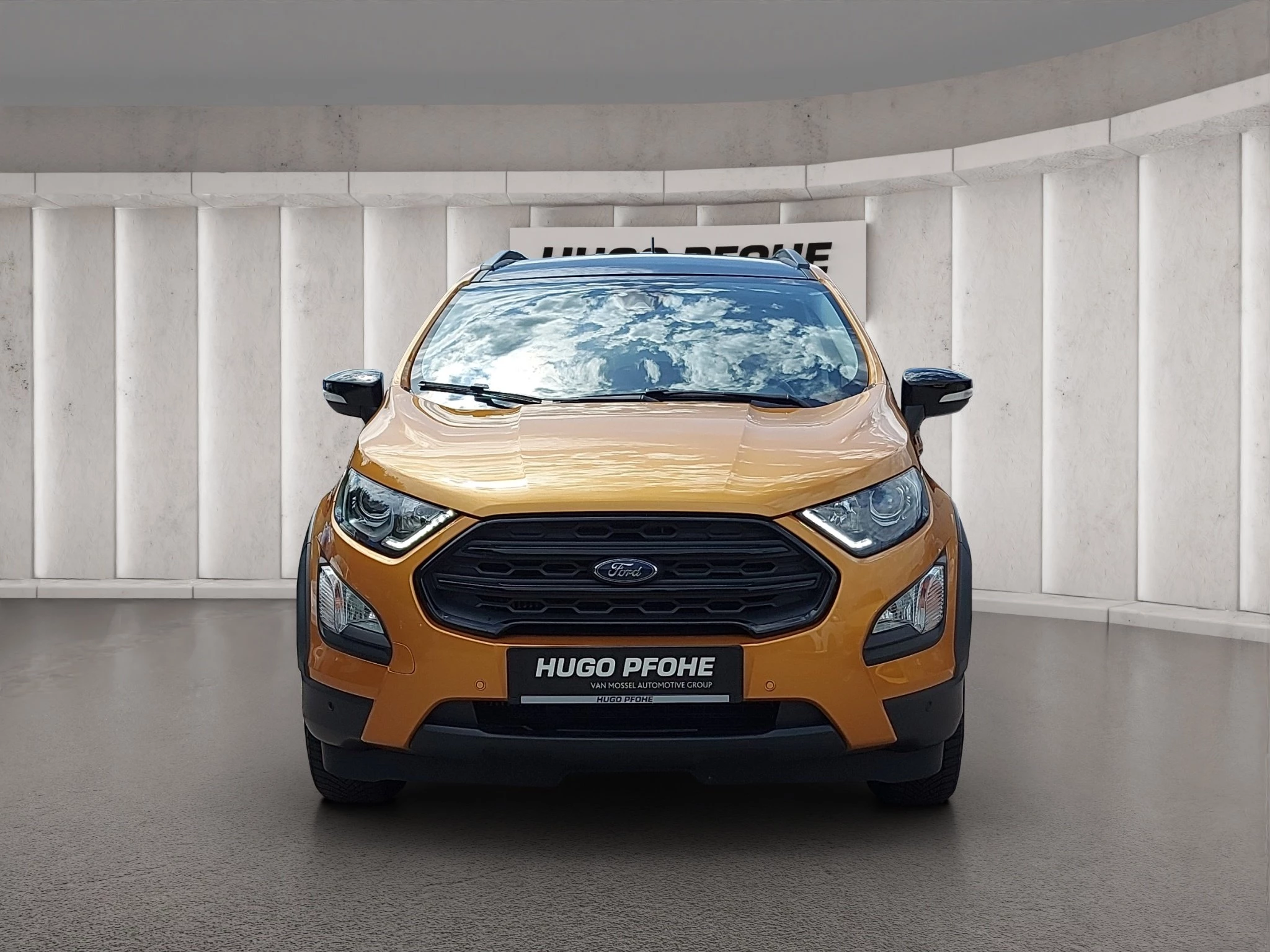 Ford EcoSport *LEDER*RFK*NAVI*SOUND*GRA