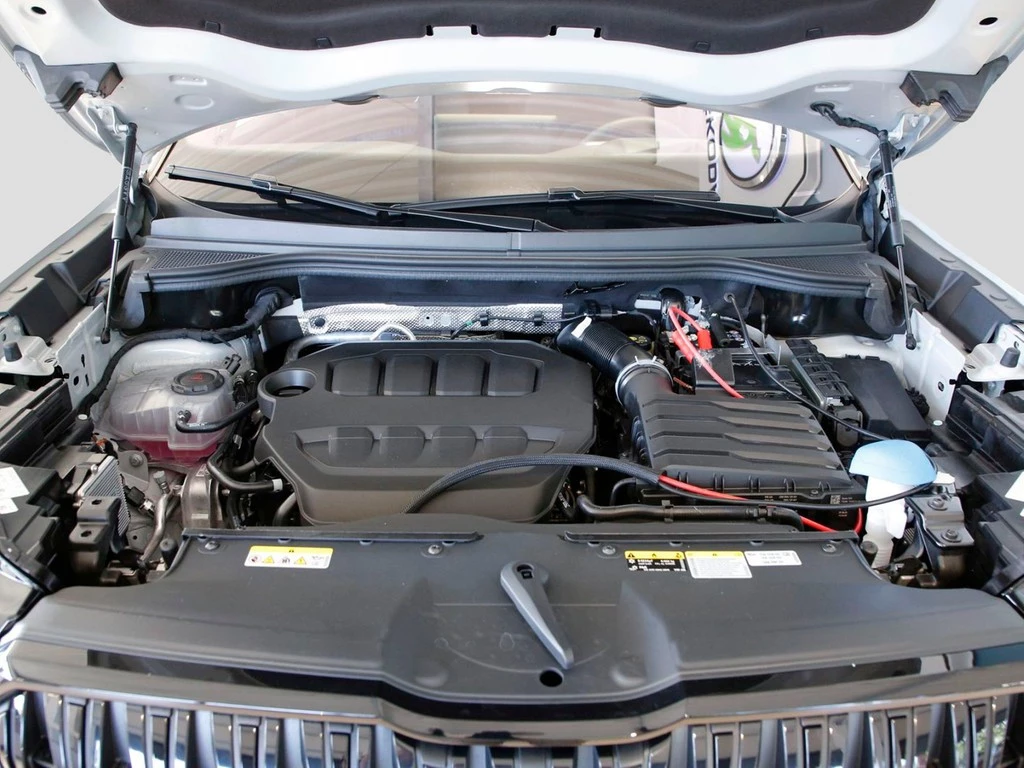 Škoda Kodiaq RS 2.0 TSI UPE 65.030 4x4 Pano AHK Assist