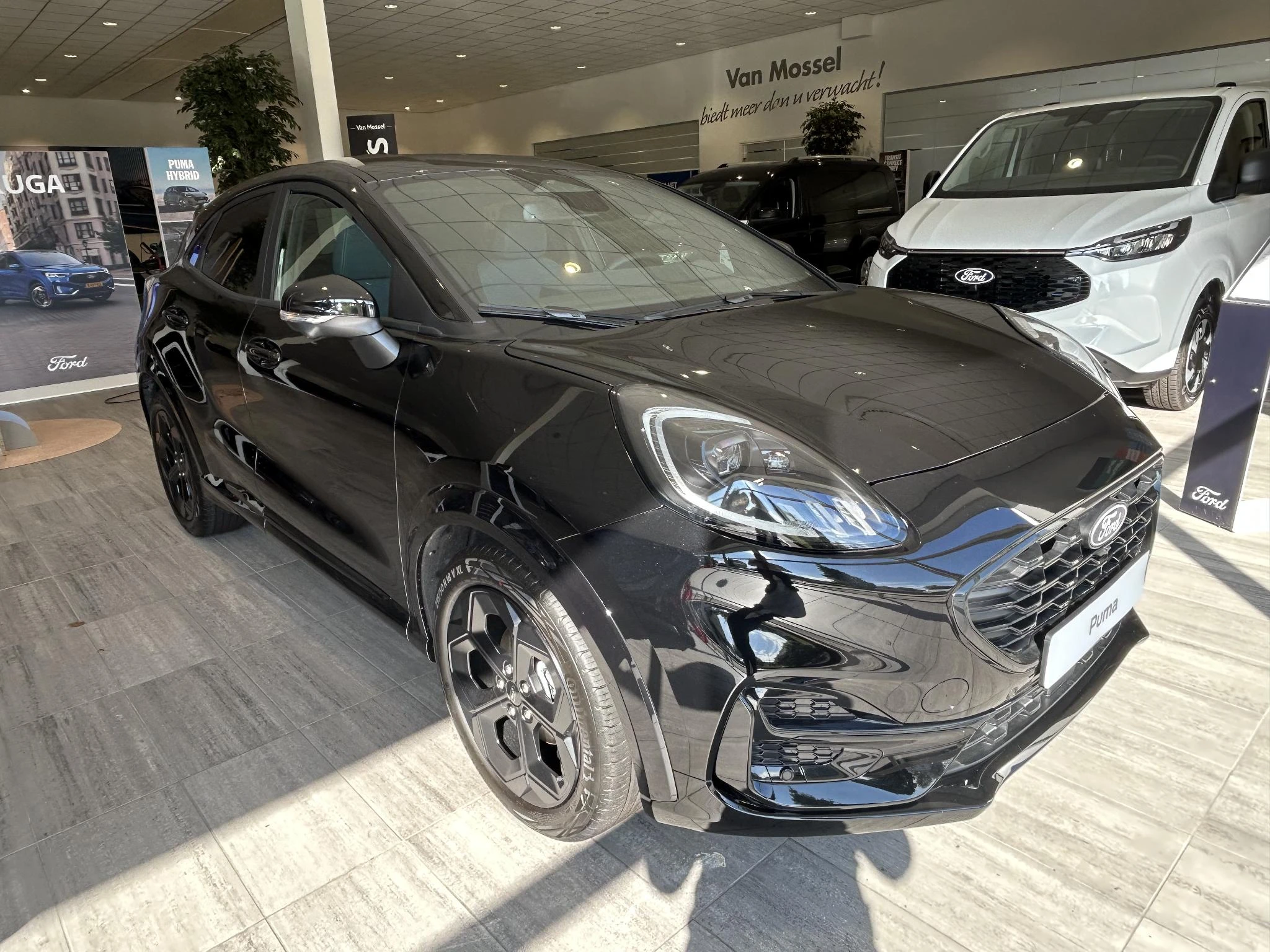 Ford-Puma-image-6