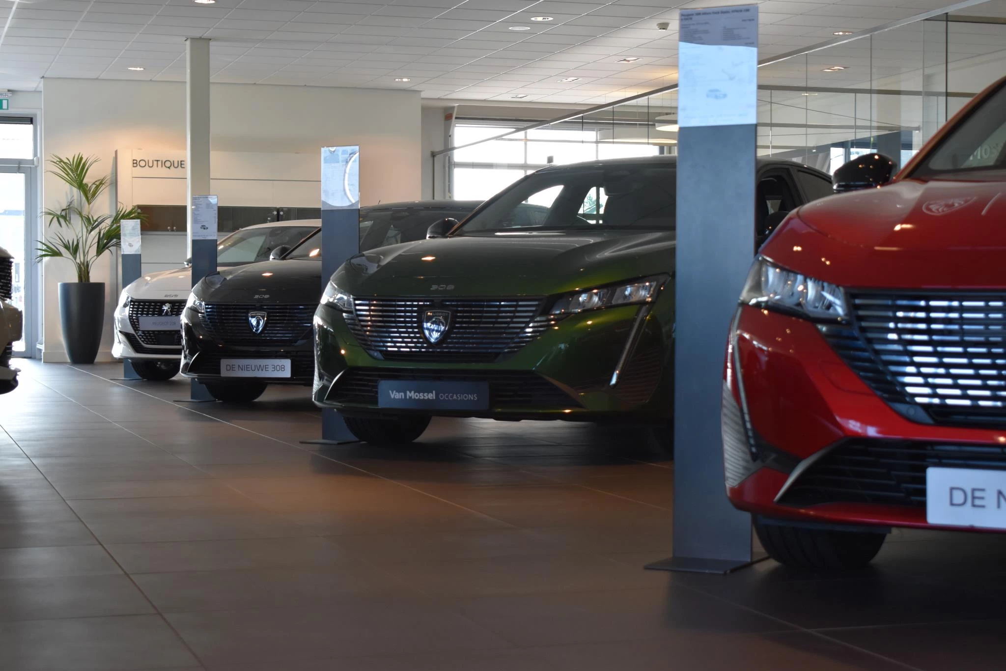 Jeep-Avenger-image-39