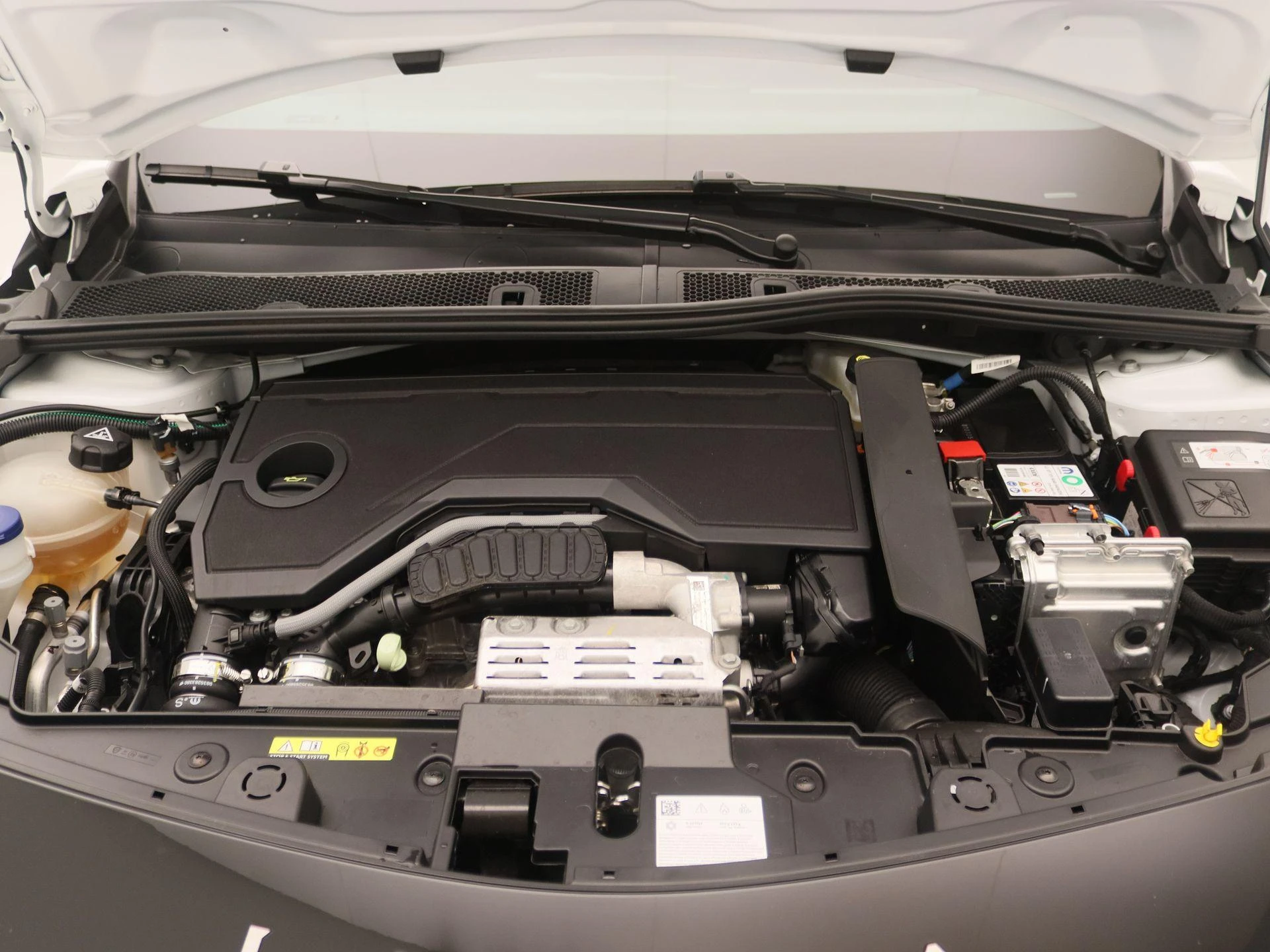 Lancia-Ypsilon-image-22