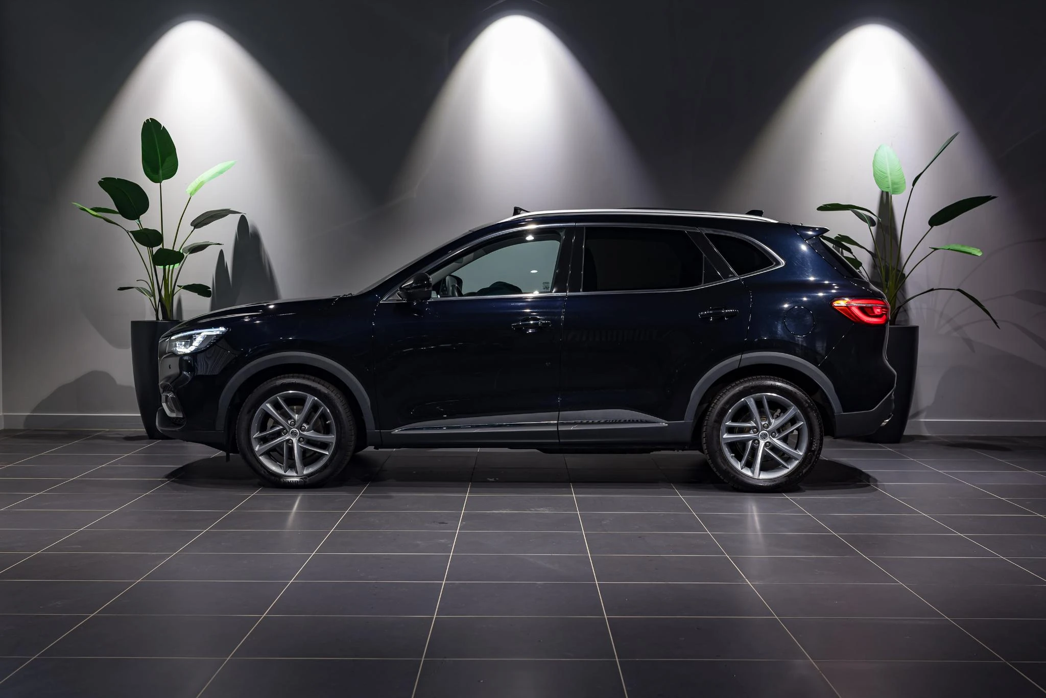 MG-EHS-image-3