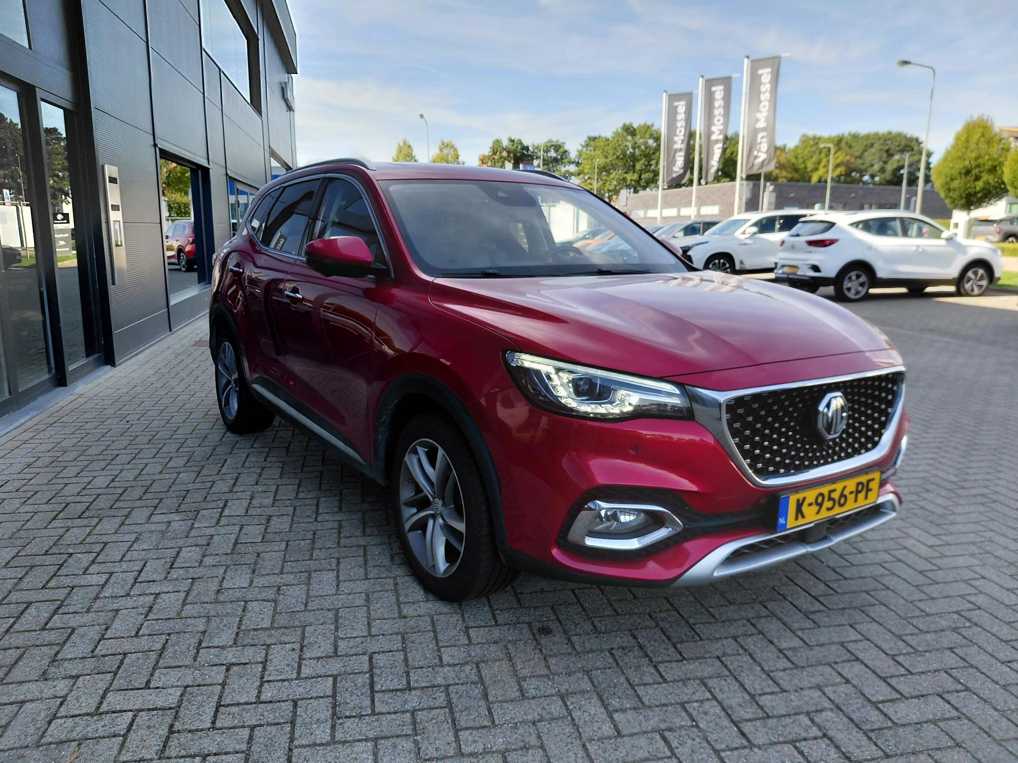 MG-EHS-image-6