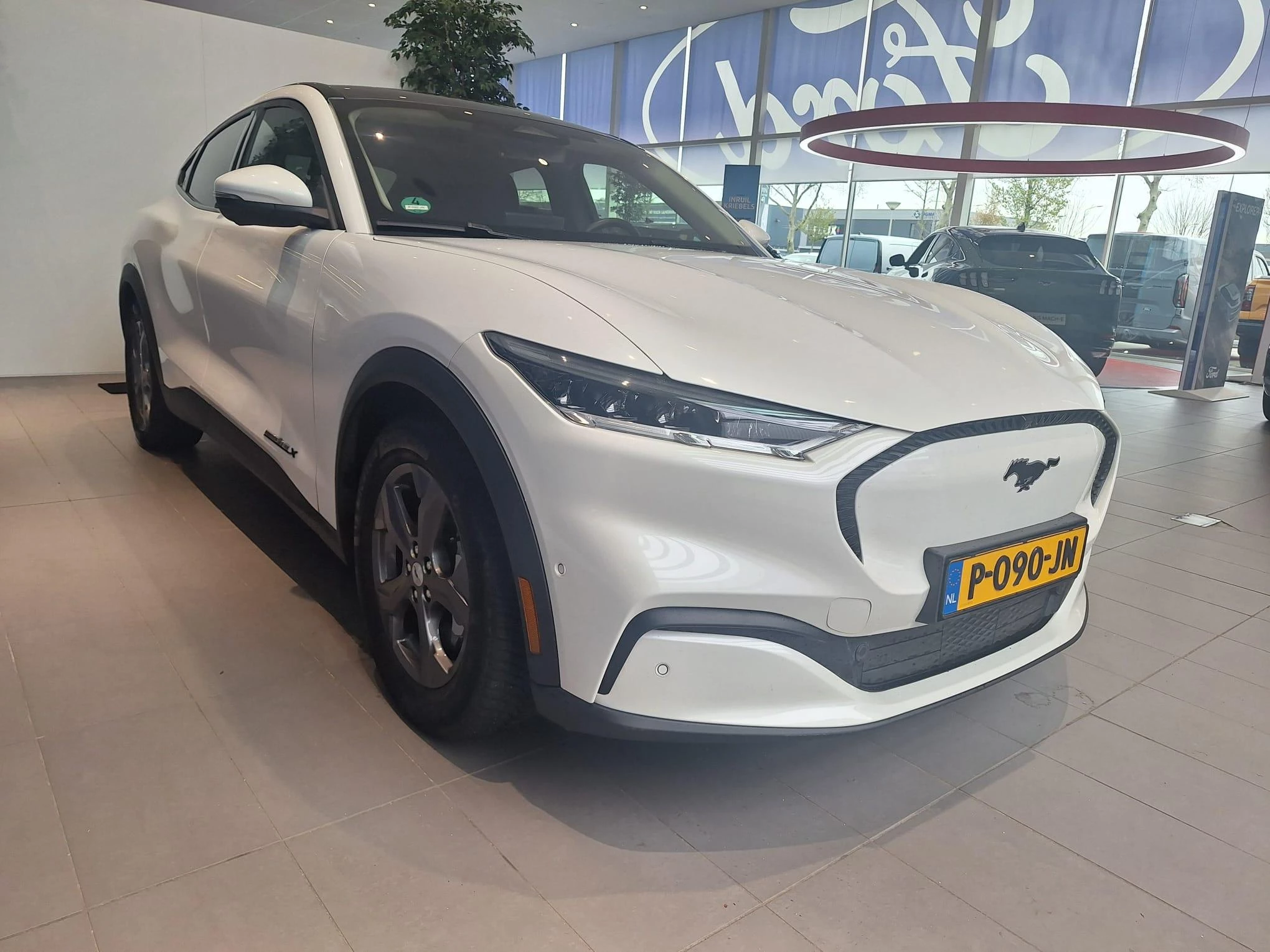 Ford-Mustang Mach-E-image-2