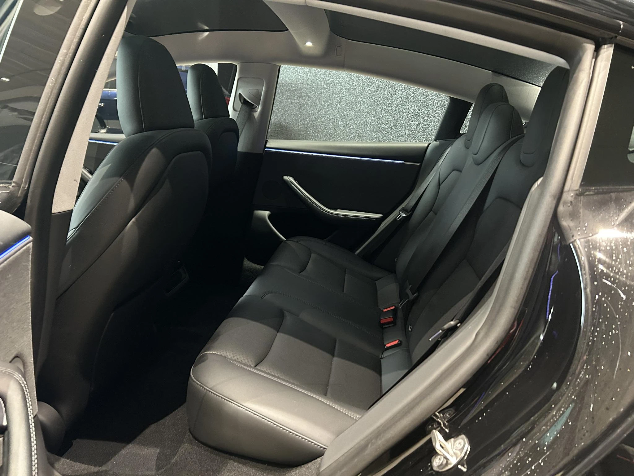 Tesla-Model 3-image-6