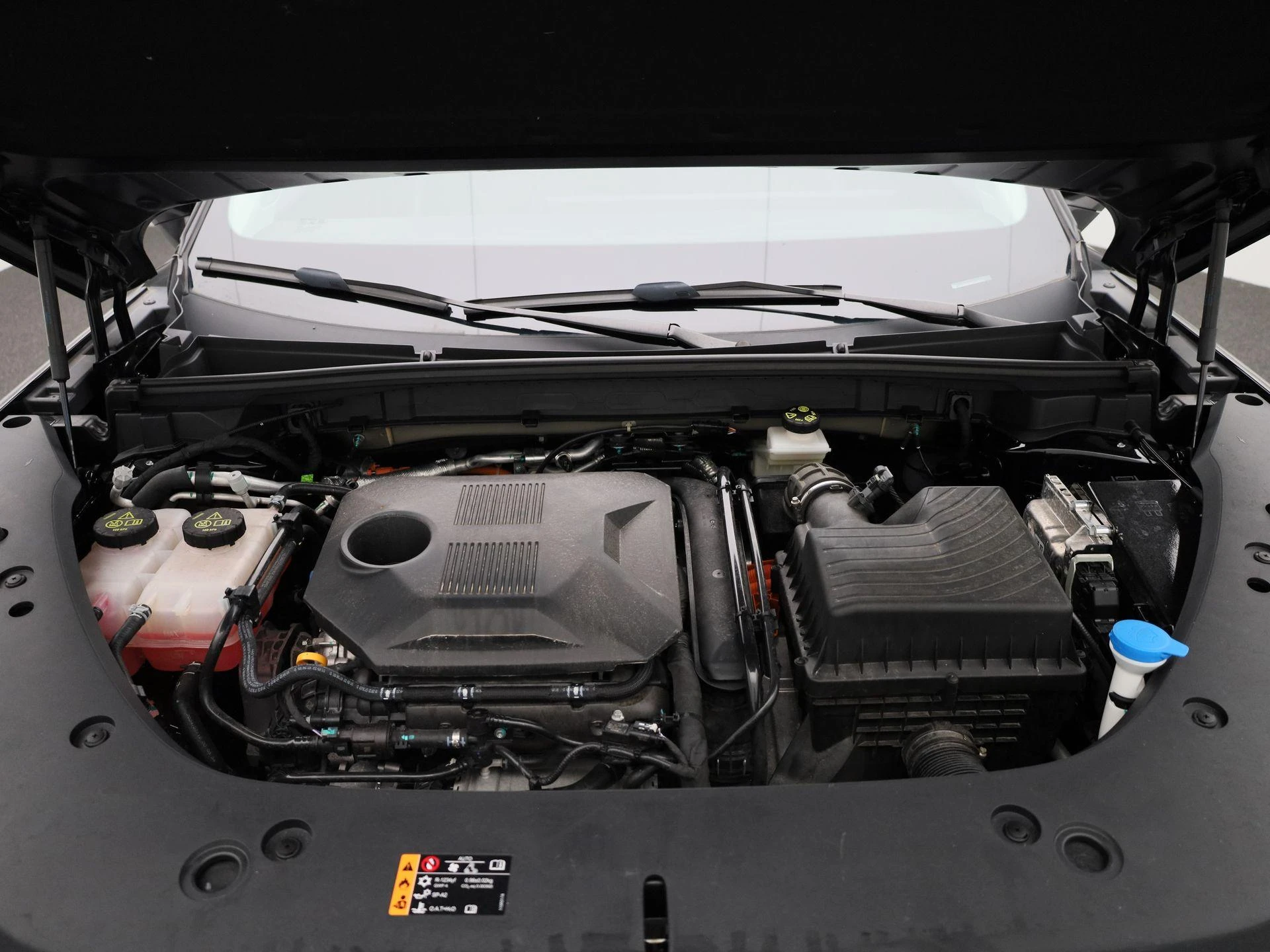 MG-HS-image-36