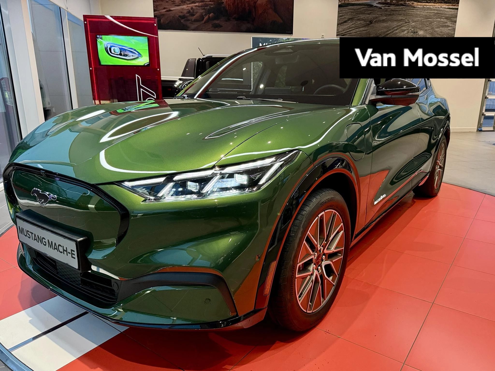 Ford-Mustang Mach-E-image-0