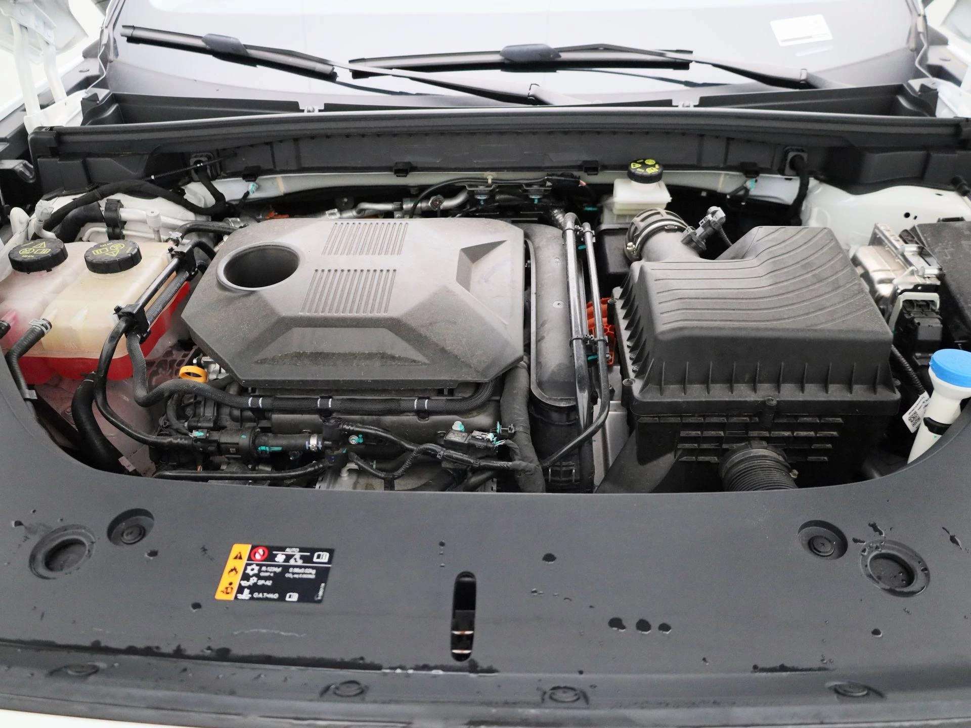 MG-HS-image-24